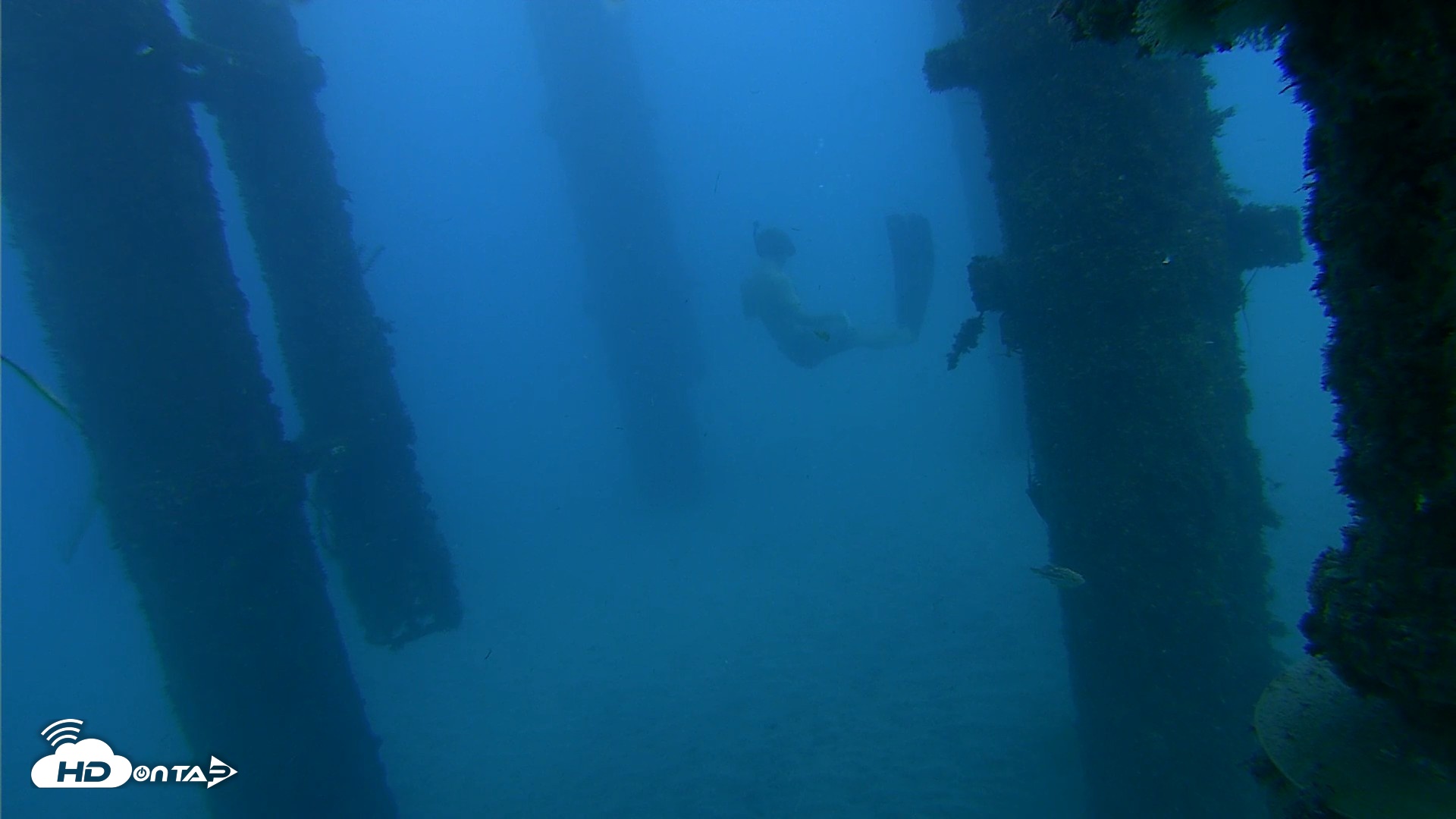 Snapshot of Scripps Pier Underwater Live Webcam taken Oct 19, 2026, 5:58pm PDT