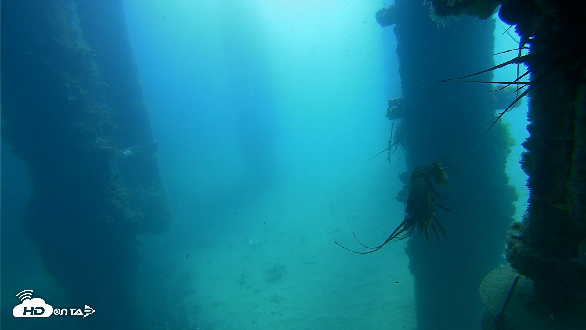 Snapshot of Scripps Pier Underwater Live Webcam taken Aug 29, 2025, 10:37am PDT