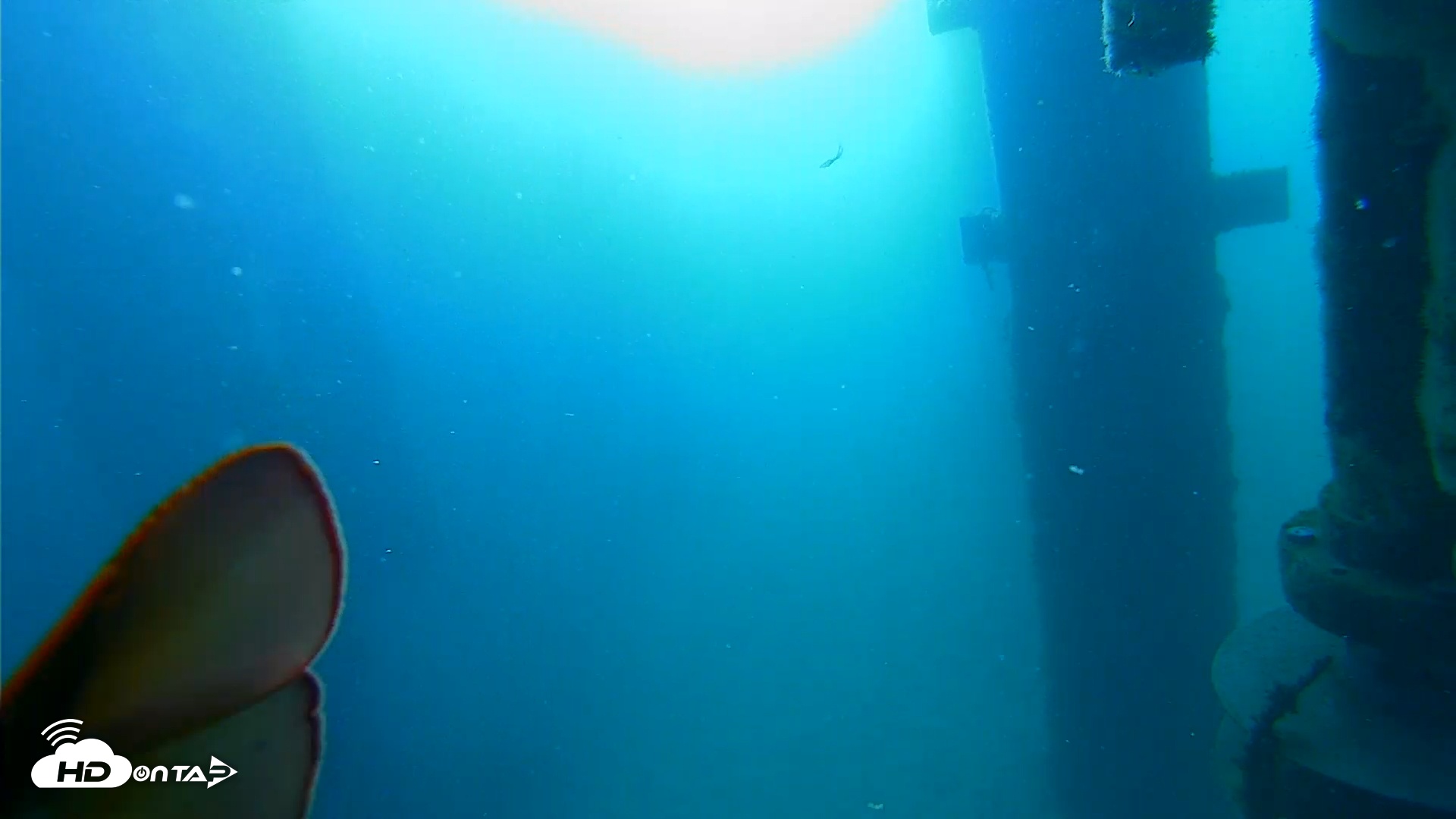 Snapshot of Scripps Pier Underwater Live Webcam taken Mar 12, 2026, 8:46am PDT