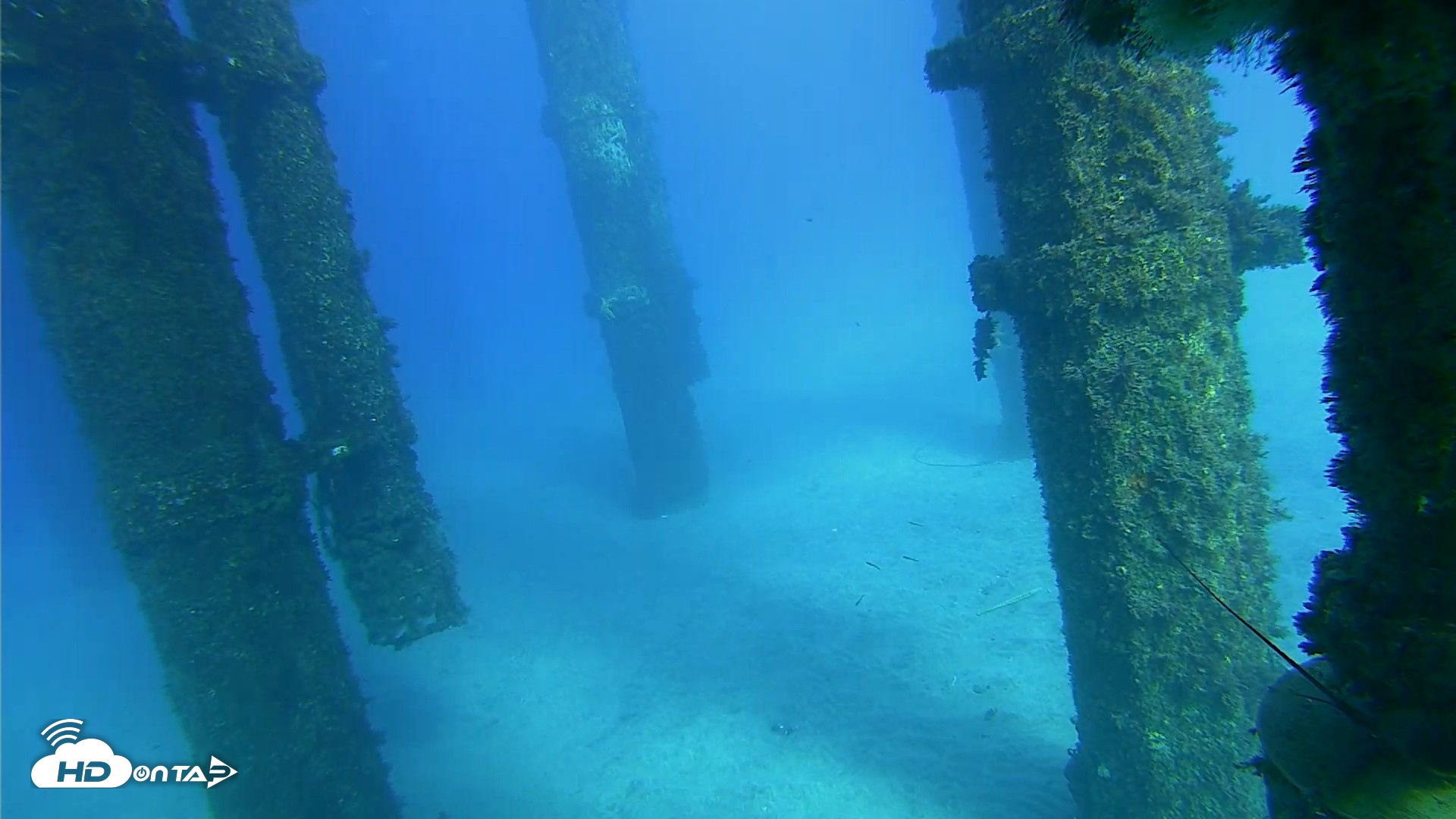 Snapshot of Scripps Pier Underwater Live Webcam taken Oct 18, 2026, 4:09pm PDT