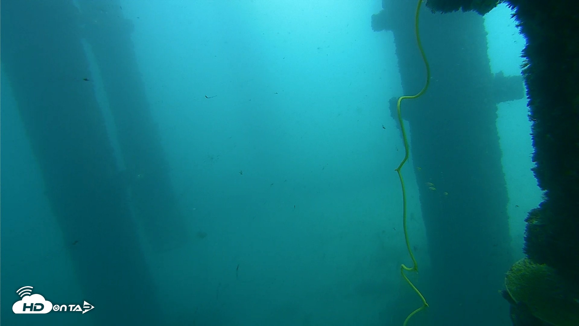 Snapshot of Scripps Pier Underwater Live Webcam taken Oct 1, 2026, 11:49am PDT