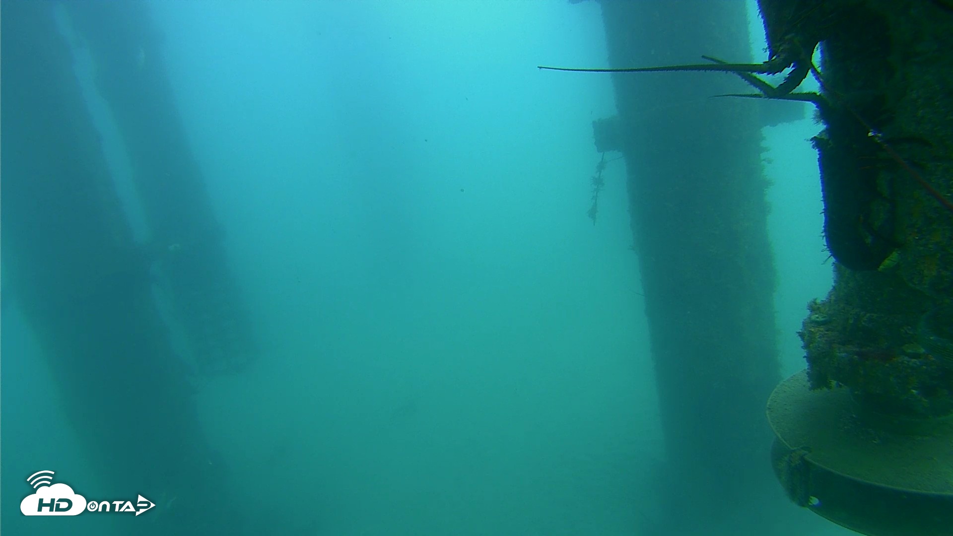 Snapshot of Scripps Pier Underwater Live Webcam taken Aug 4, 2026, 11:03am PDT