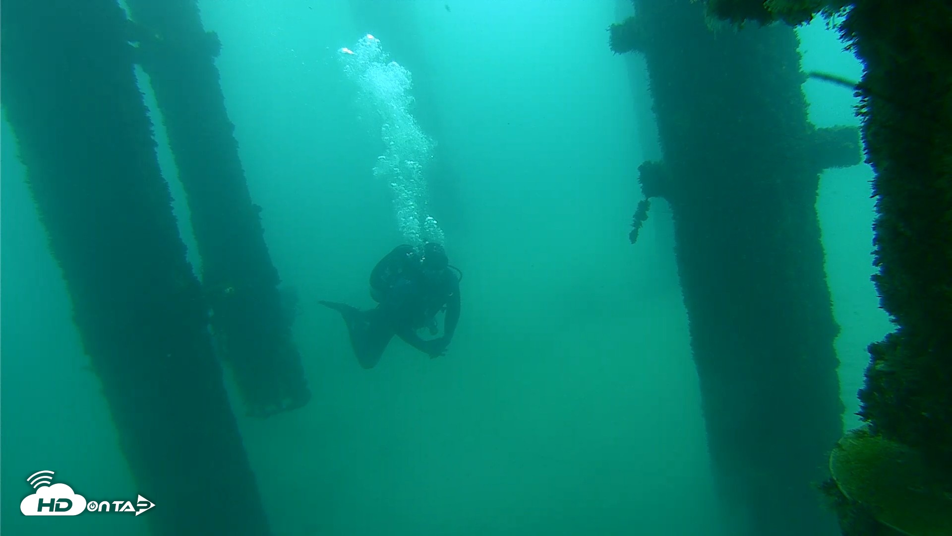 Snapshot of Scripps Pier Underwater Live Webcam taken Oct 8, 2026, 9:32am PDT
