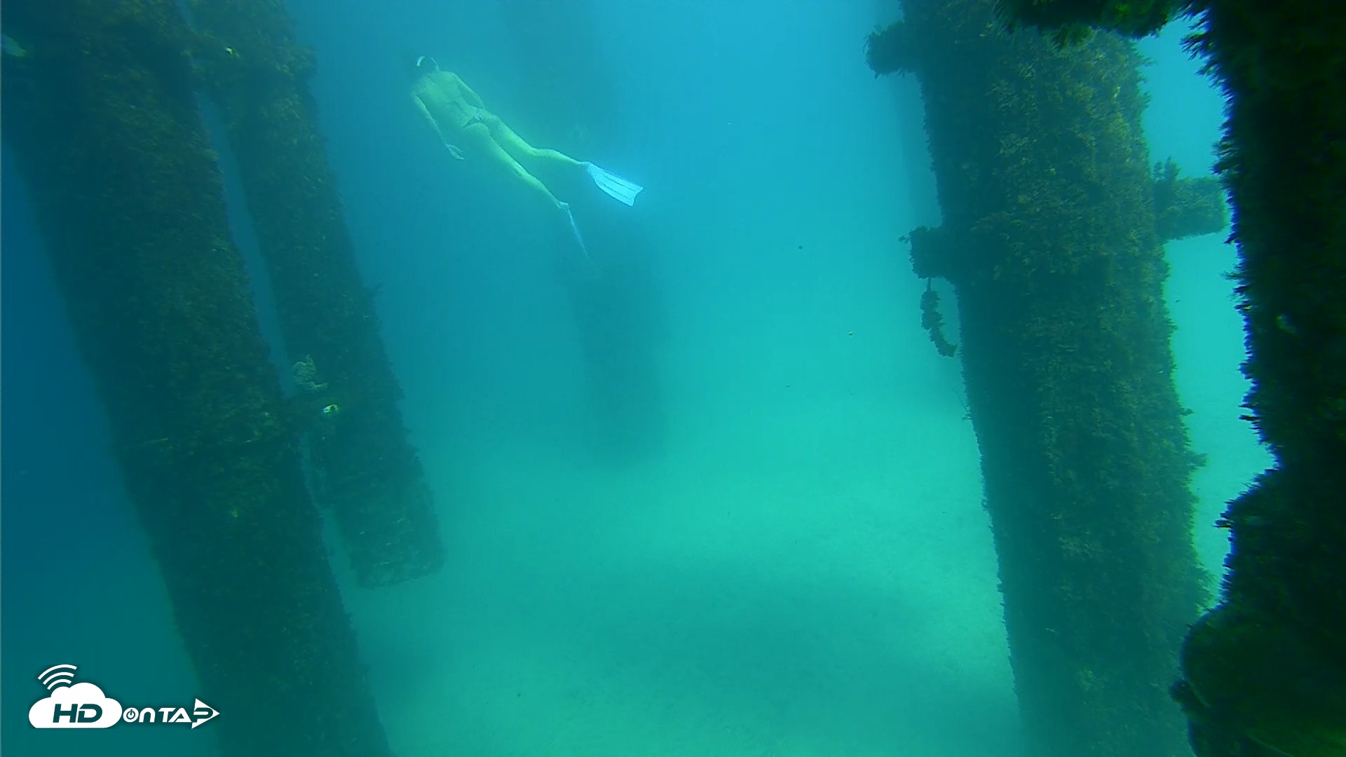 Snapshot of Scripps Pier Underwater Live Webcam taken Sep 24, 2026, 2:47pm PDT