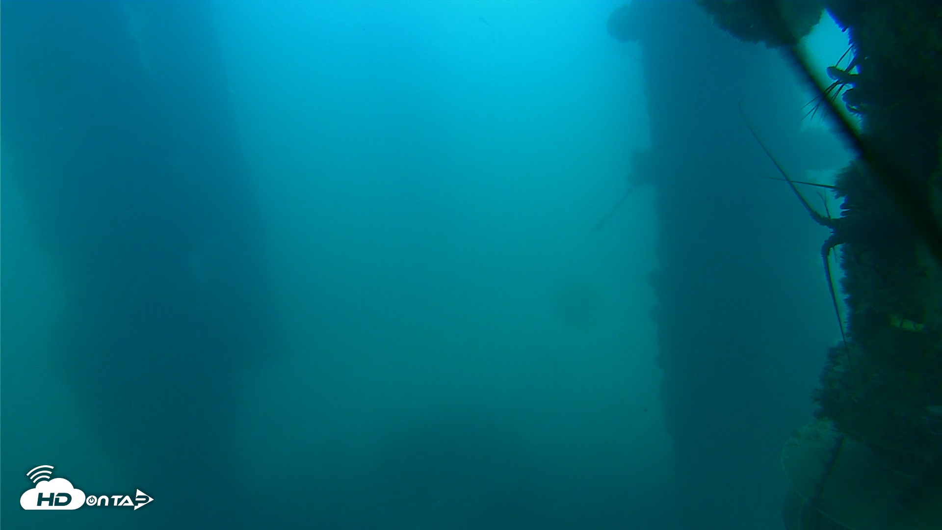 Snapshot of Scripps Pier Underwater Live Webcam taken Oct 14, 2025, 5:15pm PDT