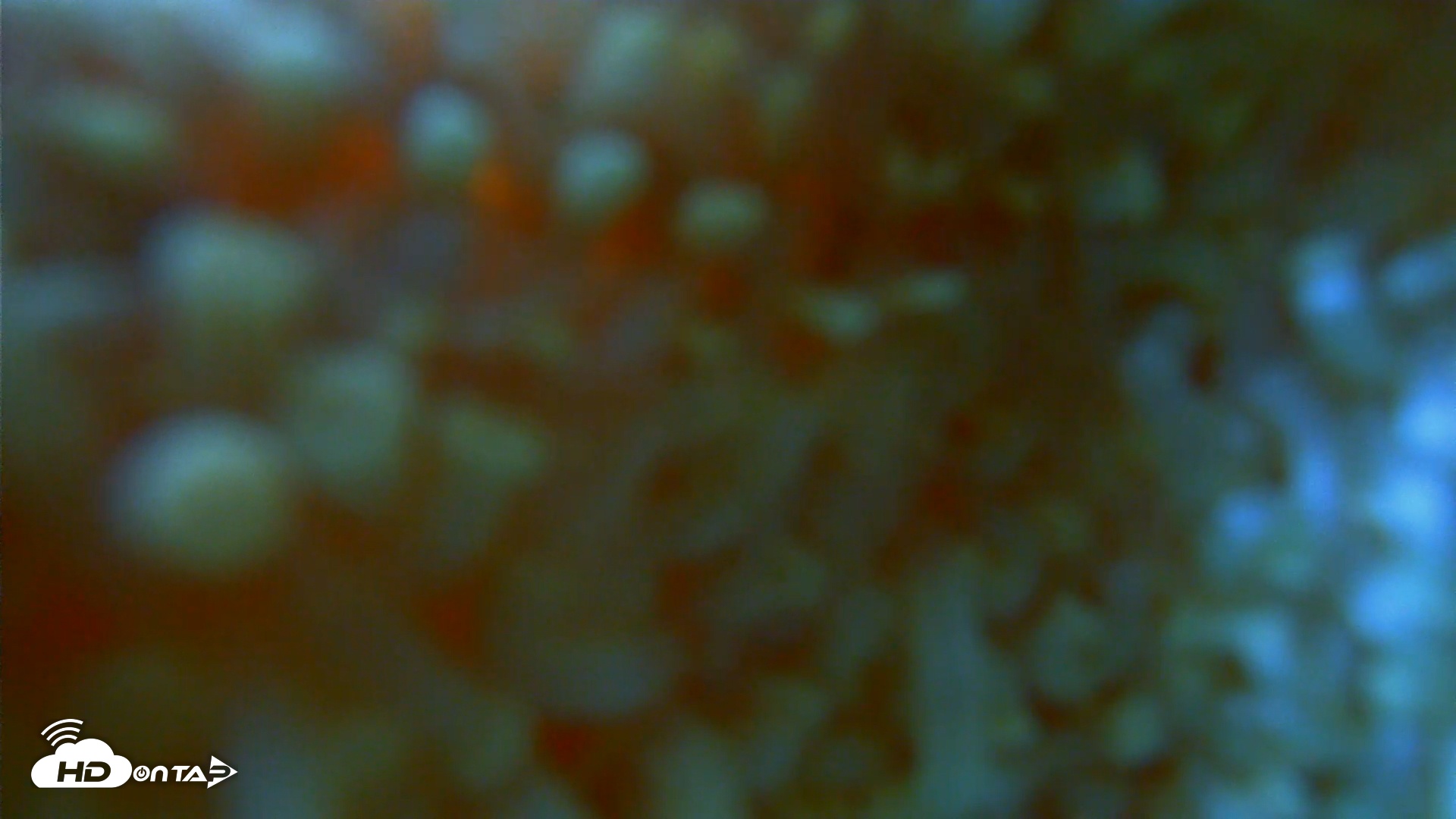 Snapshot of Scripps Pier Underwater Live Webcam taken Nov 30, 2025, 12:48pm PST