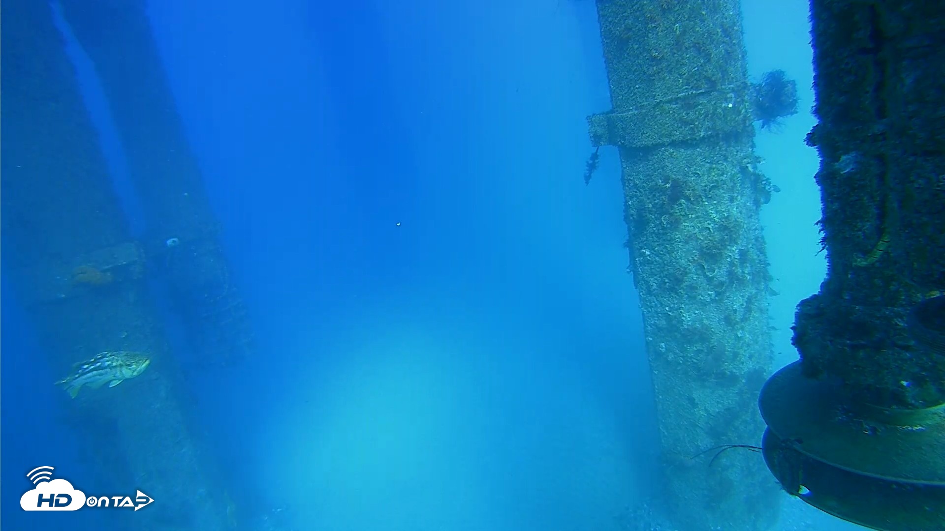 Snapshot of Scripps Pier Underwater Live Webcam taken Jul 29, 2026, 5:05pm PDT