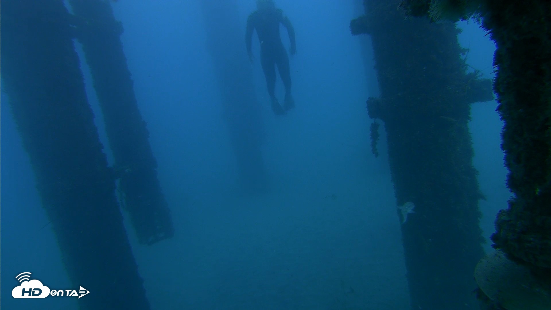 Snapshot of Scripps Pier Underwater Live Webcam taken Oct 19, 2026, 6:06pm PDT