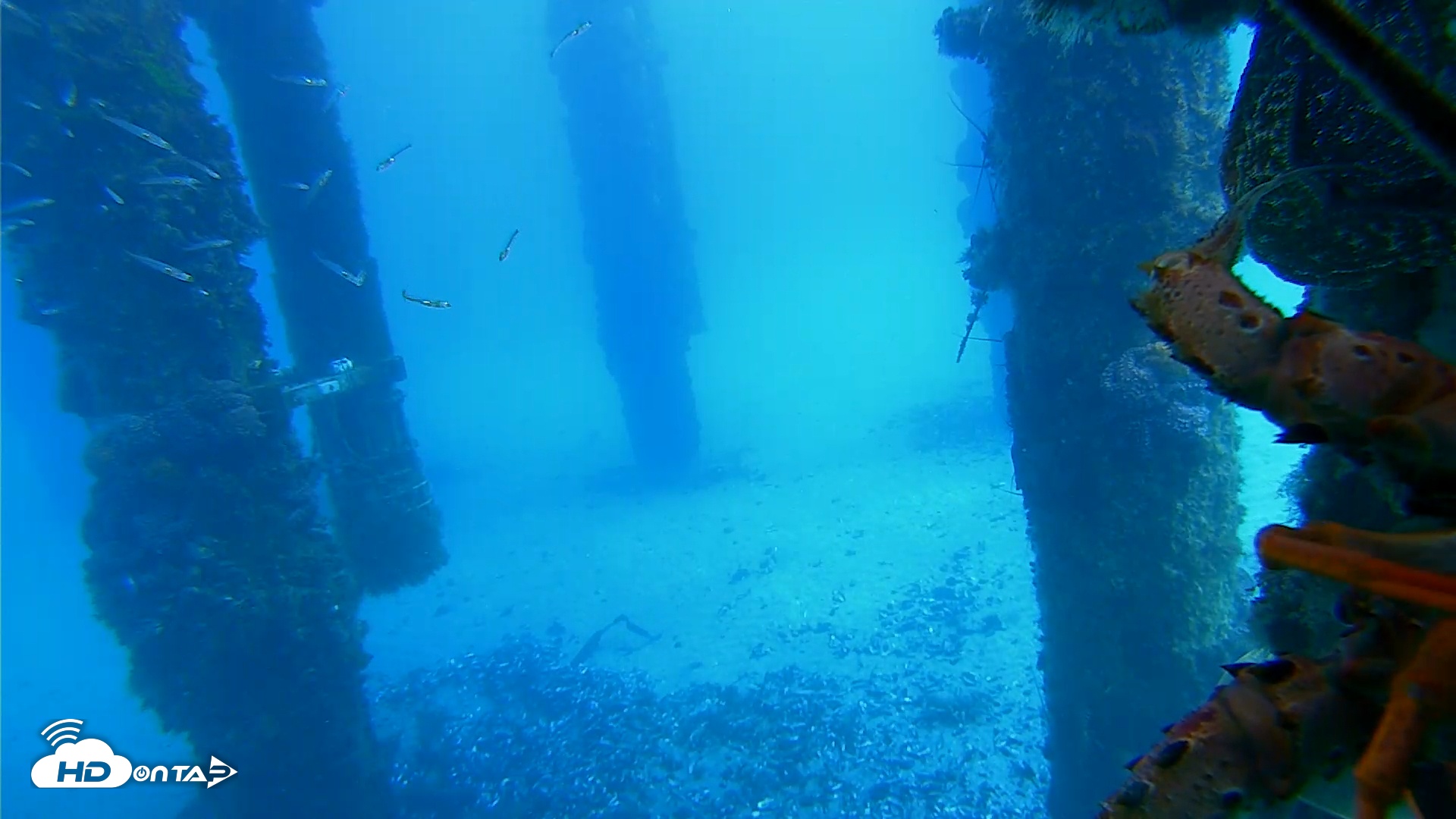 Snapshot of Scripps Pier Underwater Live Webcam taken Jan 28, 2026, 12:35pm PST