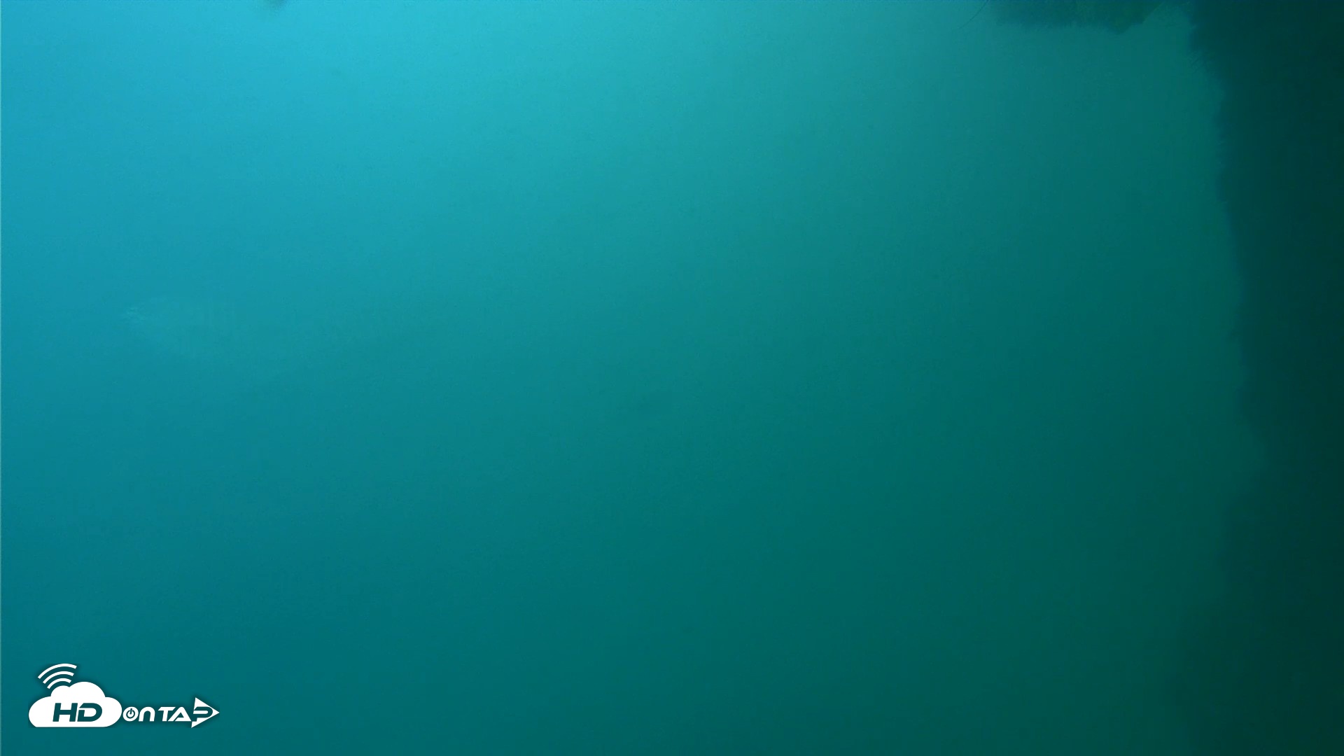 Snapshot of Scripps Pier Underwater Live Webcam taken Oct 11, 2026, 2:28pm PDT