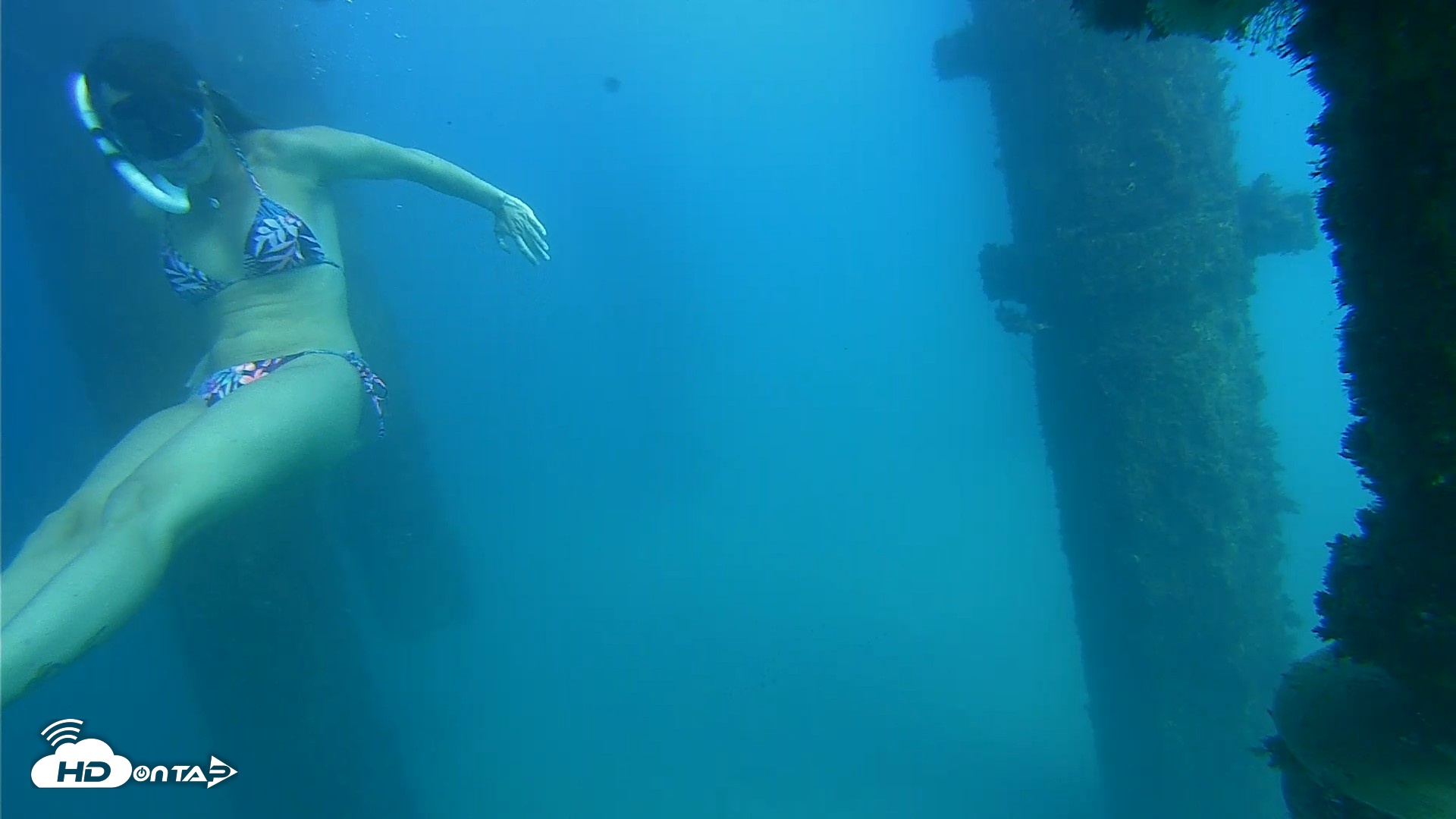 Snapshot of Scripps Pier Underwater Live Webcam taken Oct 15, 2026, 3:05pm PDT