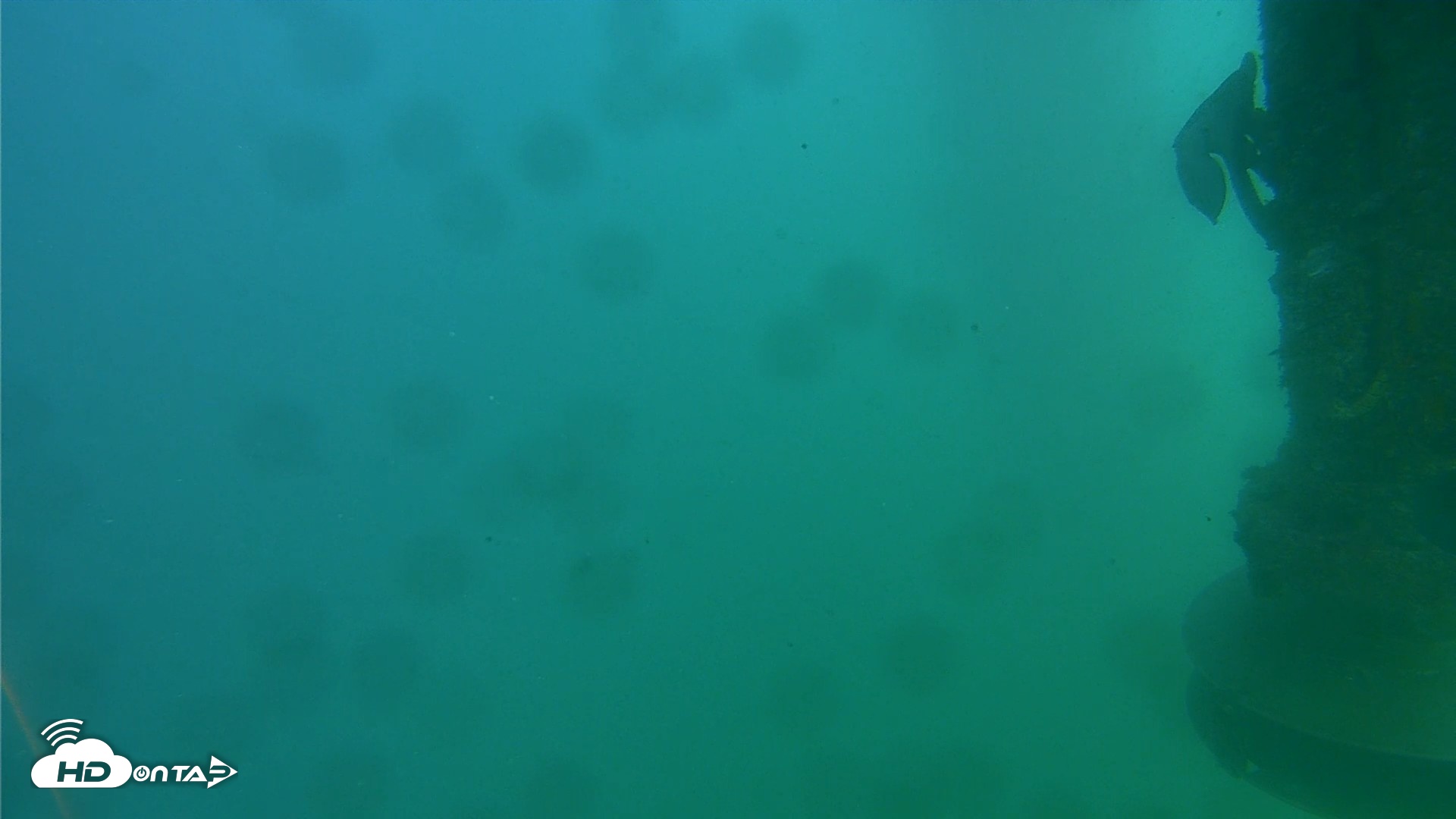 Snapshot of Scripps Pier Underwater Live Webcam taken Jul 28, 2026, 4:04pm PDT