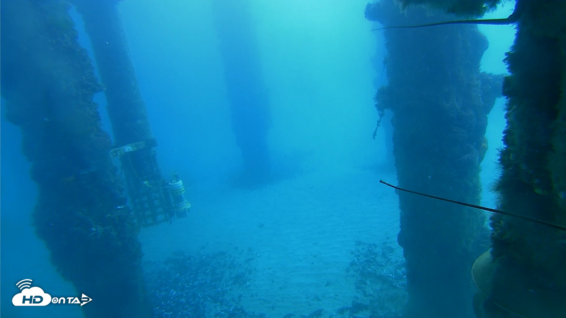 Snapshot of Scripps Pier Underwater Live Webcam taken Jan 2, 2026, 10:23am PST