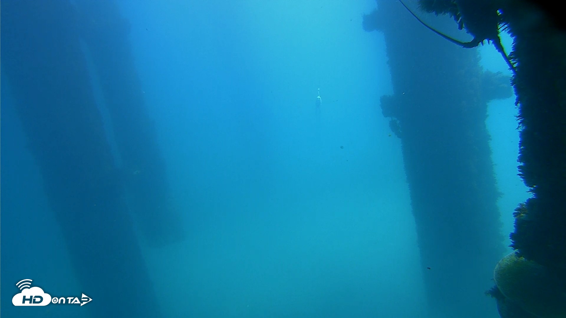 Snapshot of Scripps Pier Underwater Live Webcam taken Oct 9, 2026, 12:27pm PDT