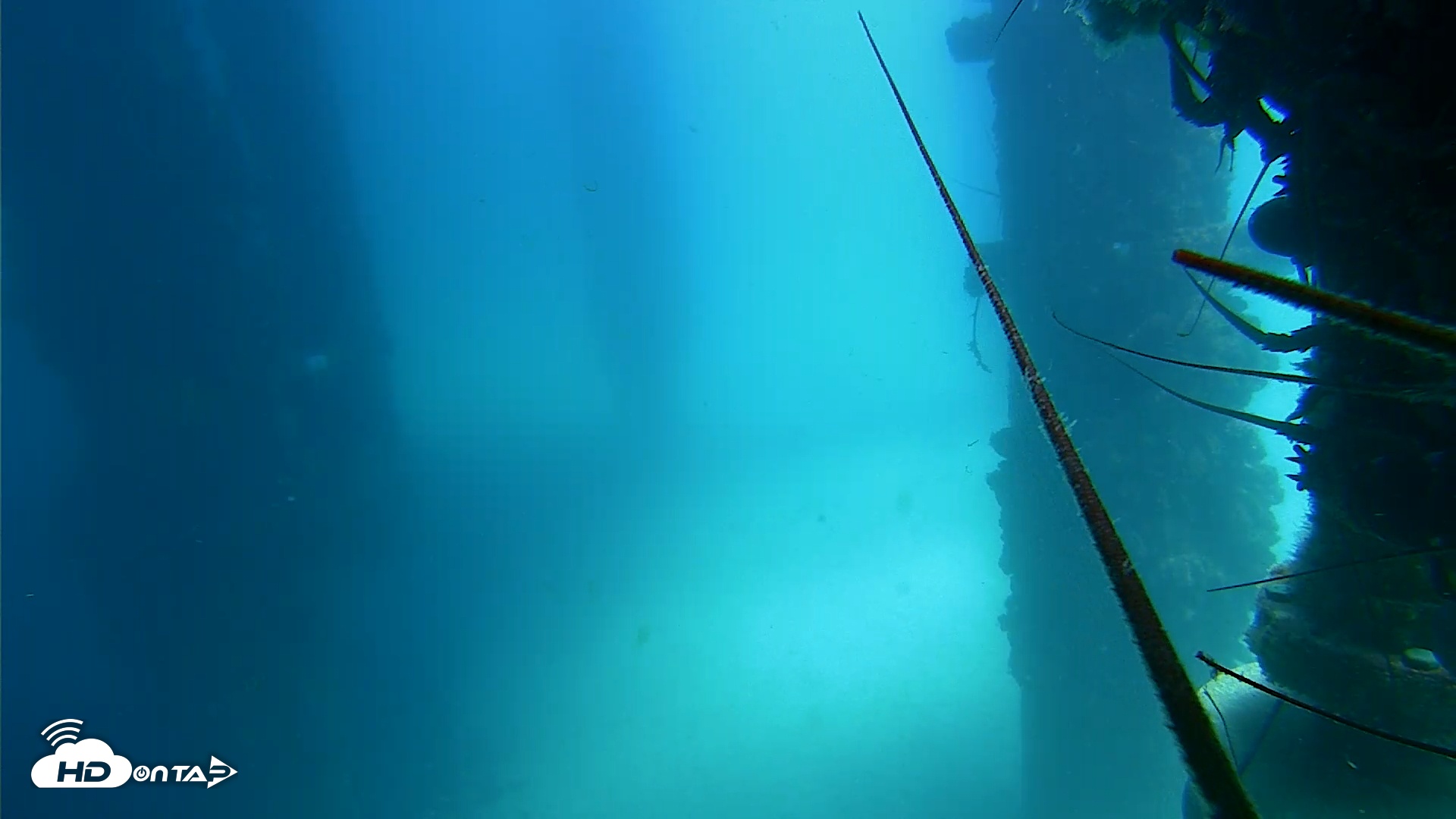 Snapshot of Scripps Pier Underwater Live Webcam taken Aug 18, 2025, 12:58pm PDT