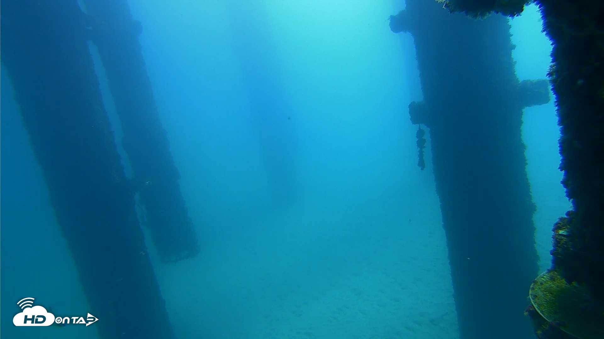 Snapshot of Scripps Pier Underwater Live Webcam taken Sep 28, 2026, 10:52am PDT