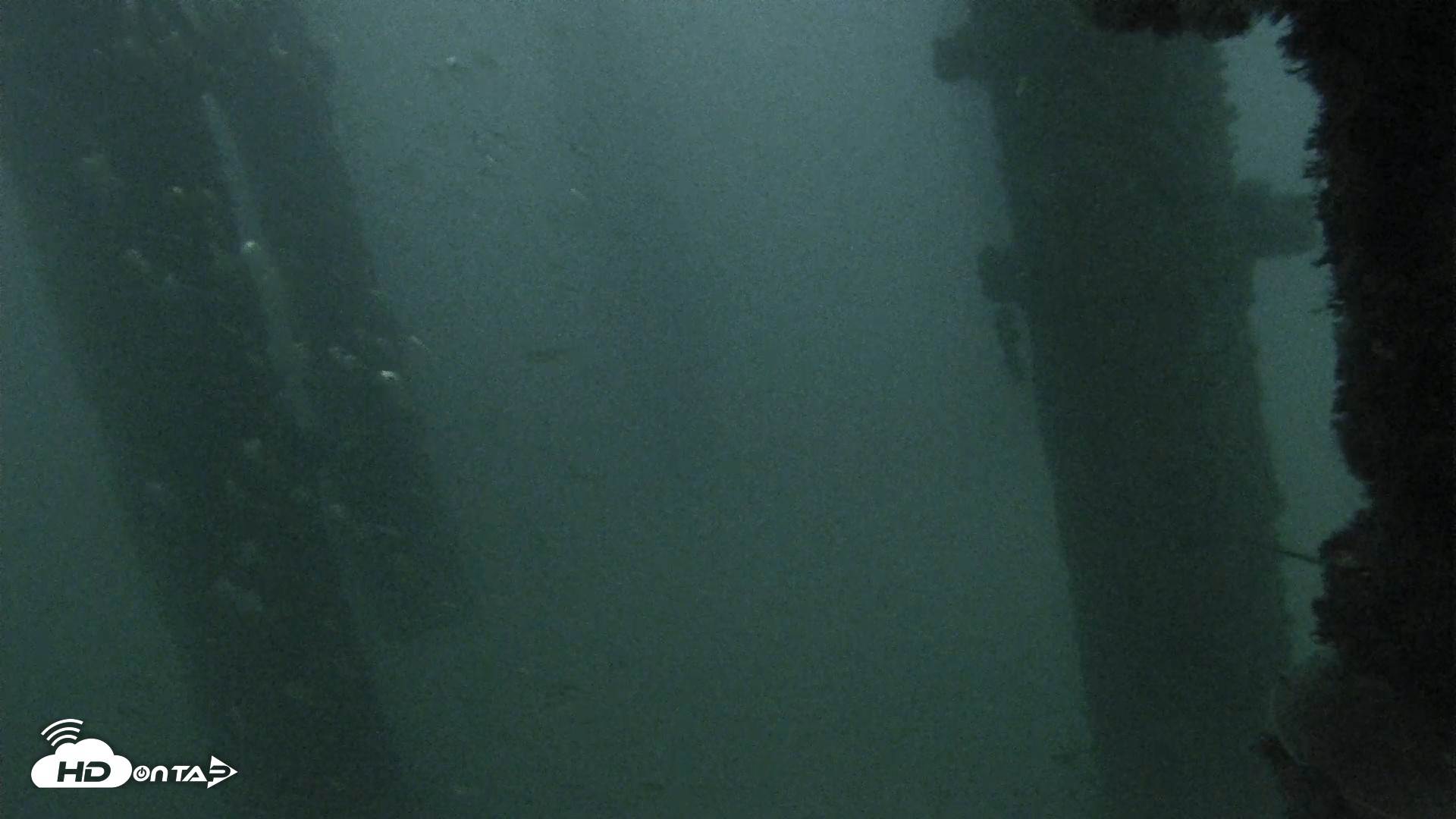 Snapshot of Scripps Pier Underwater Live Webcam taken Oct 6, 2026, 6:44pm PDT