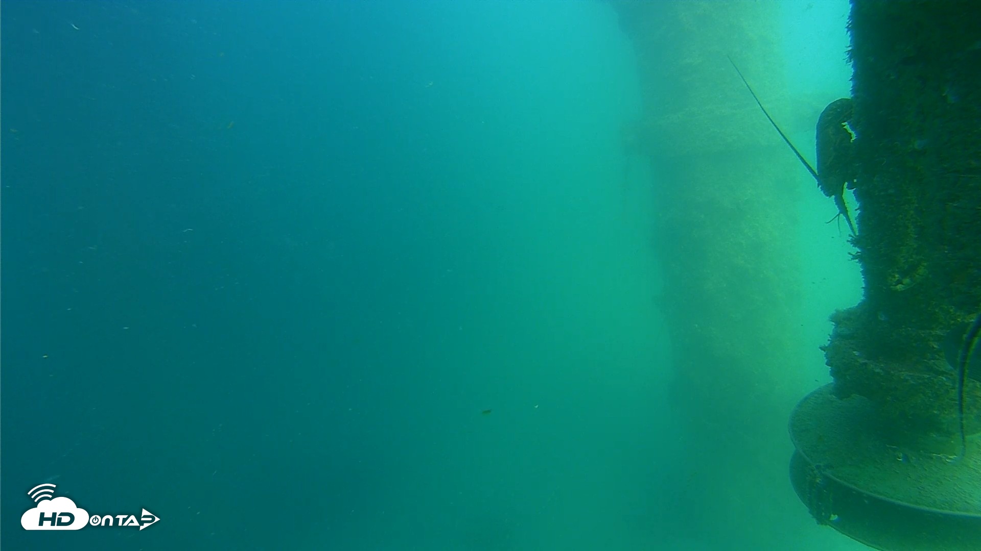 Snapshot of Scripps Pier Underwater Live Webcam taken Jul 15, 2026, 3:40pm PDT