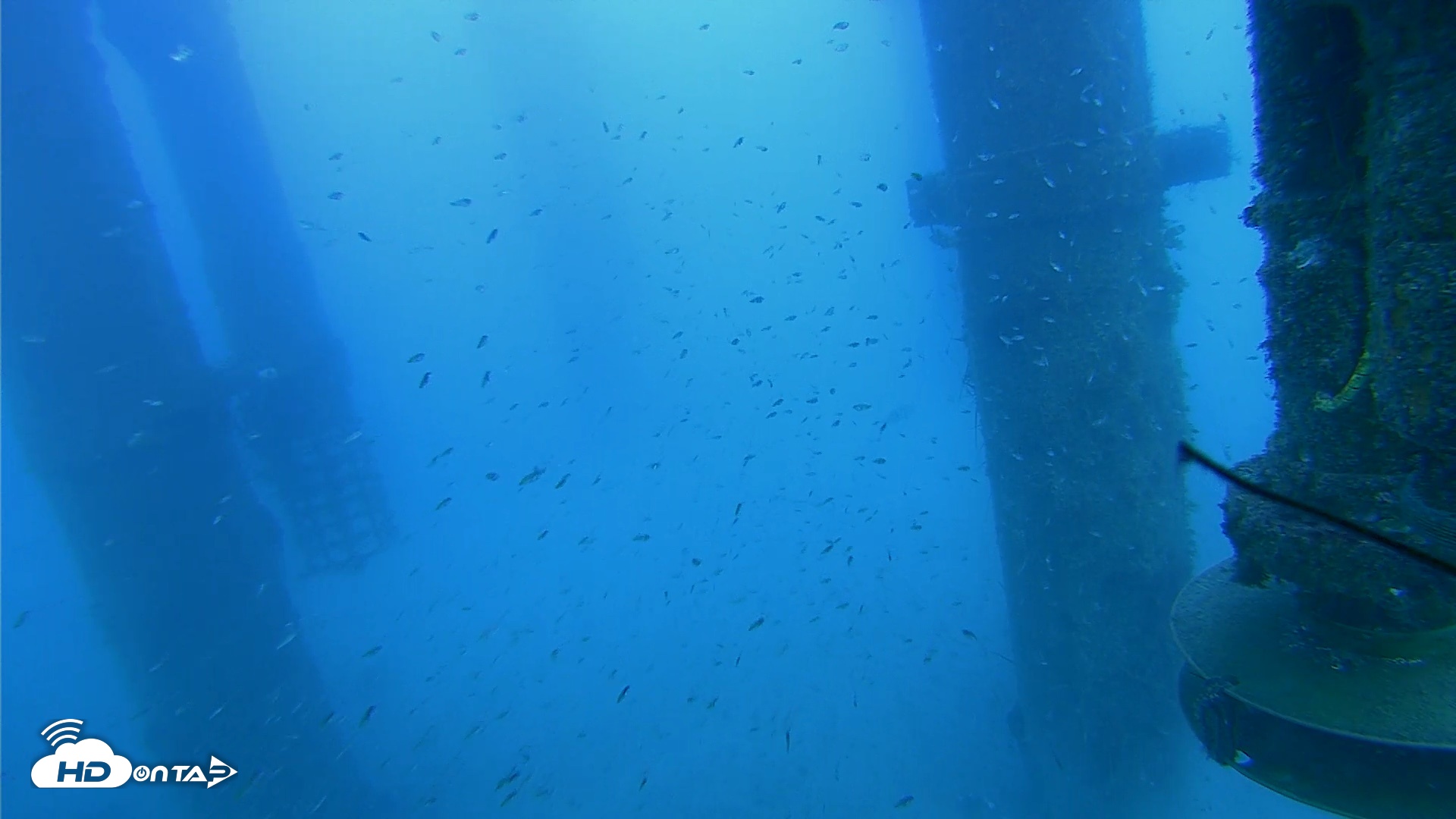 Snapshot of Scripps Pier Underwater Live Webcam taken Jul 30, 2026, 6:50pm PDT