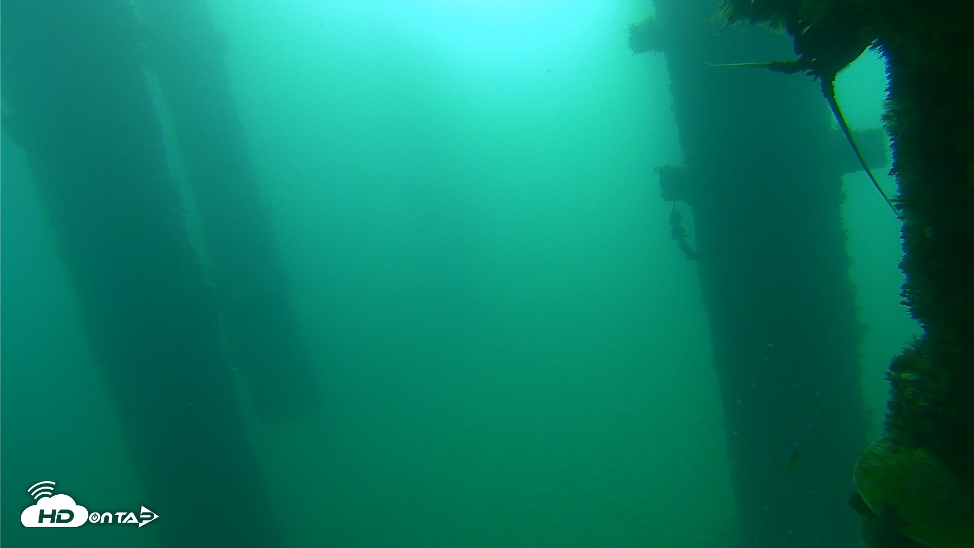 Snapshot of Scripps Pier Underwater Live Webcam taken Sep 22, 2026, 8:33am PDT