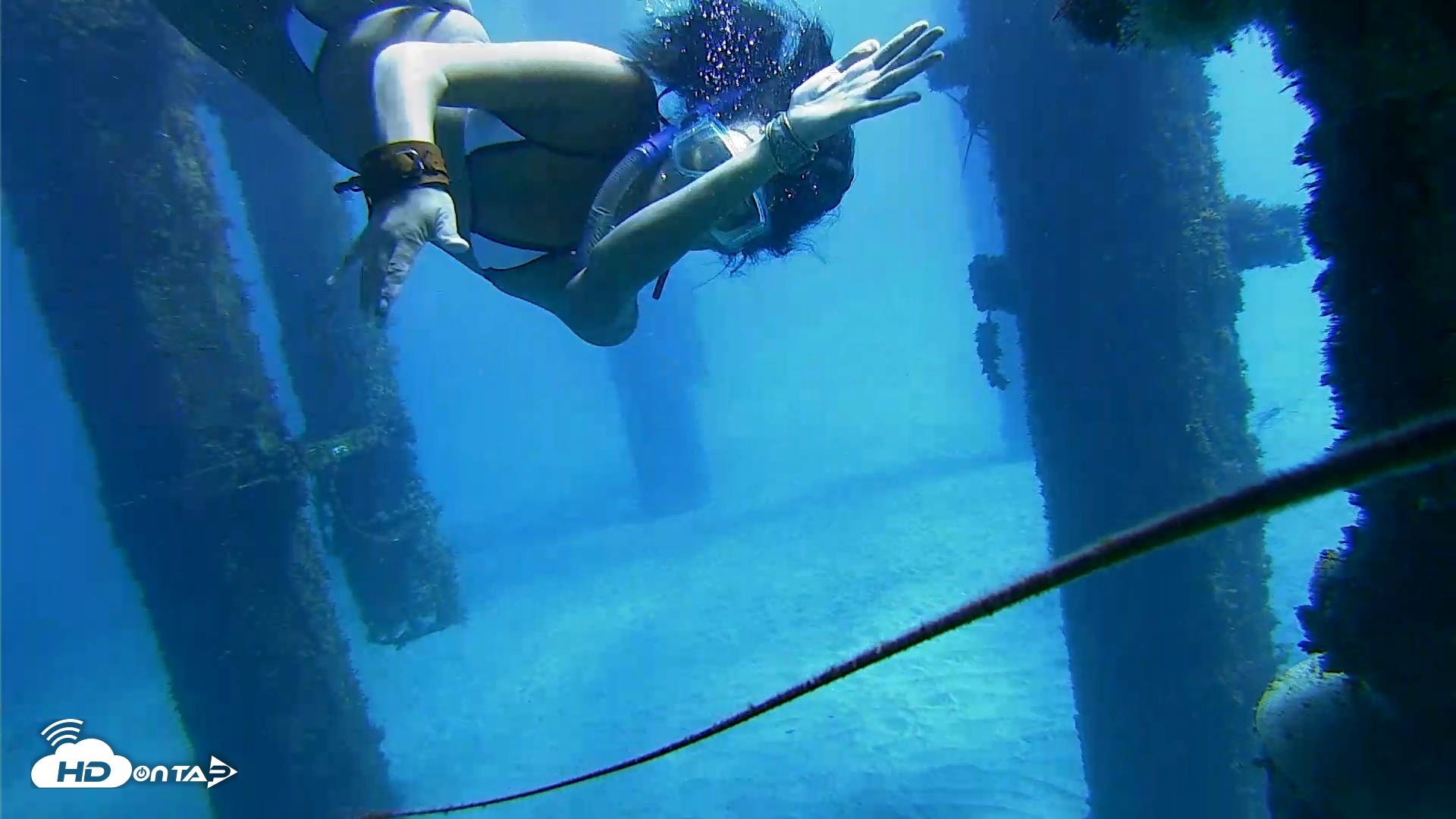 Snapshot of Scripps Pier Underwater Live Webcam taken Oct 19, 2026, 12:23pm PDT