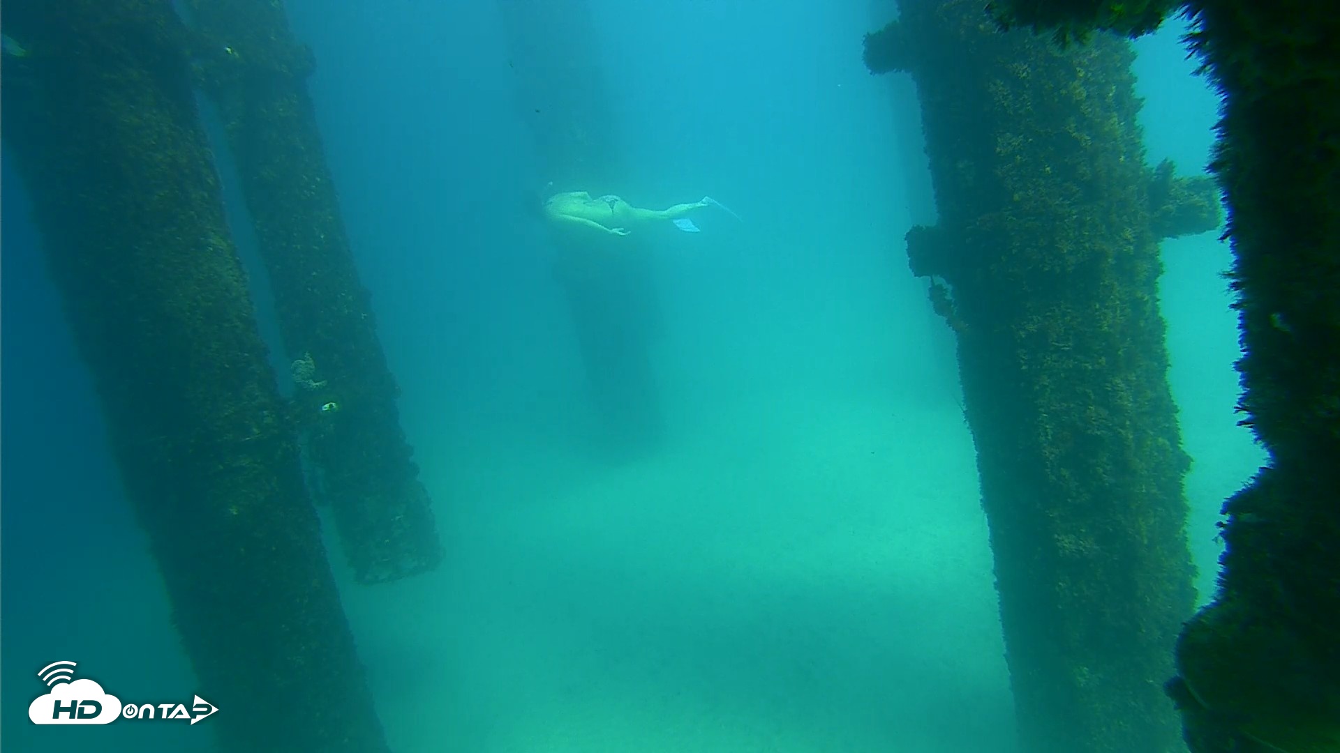 Snapshot of Scripps Pier Underwater Live Webcam taken Sep 24, 2026, 2:47pm PDT
