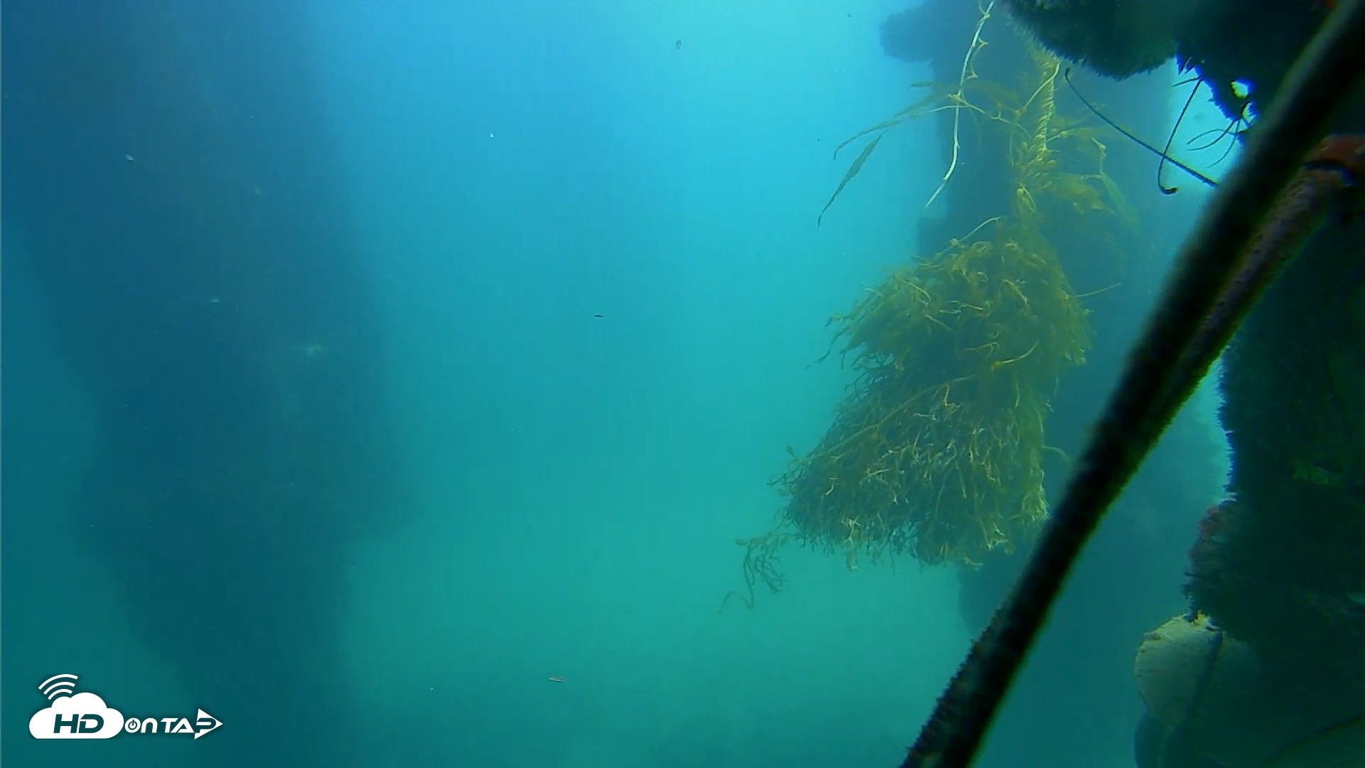 Snapshot of Scripps Pier Underwater Live Webcam taken Oct 17, 2025, 12:18pm PDT