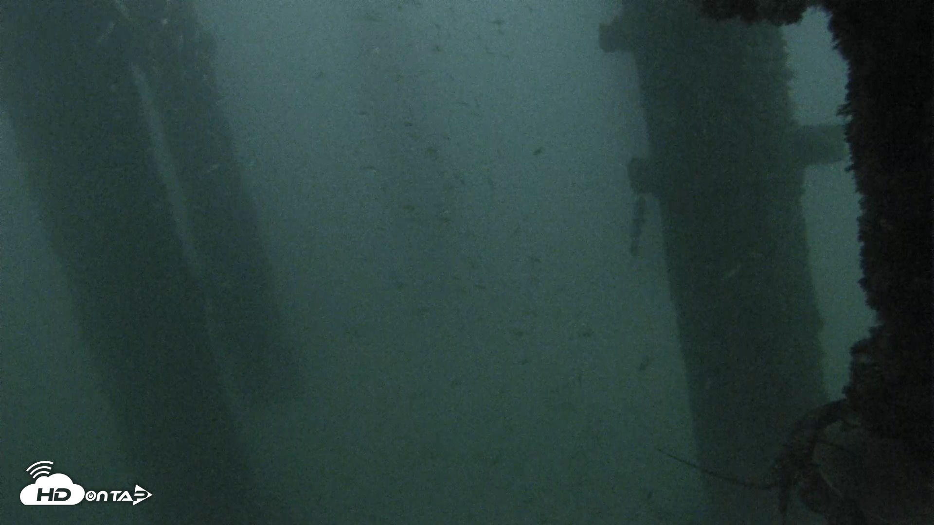 Snapshot of Scripps Pier Underwater Live Webcam taken Oct 6, 2026, 6:44pm PDT