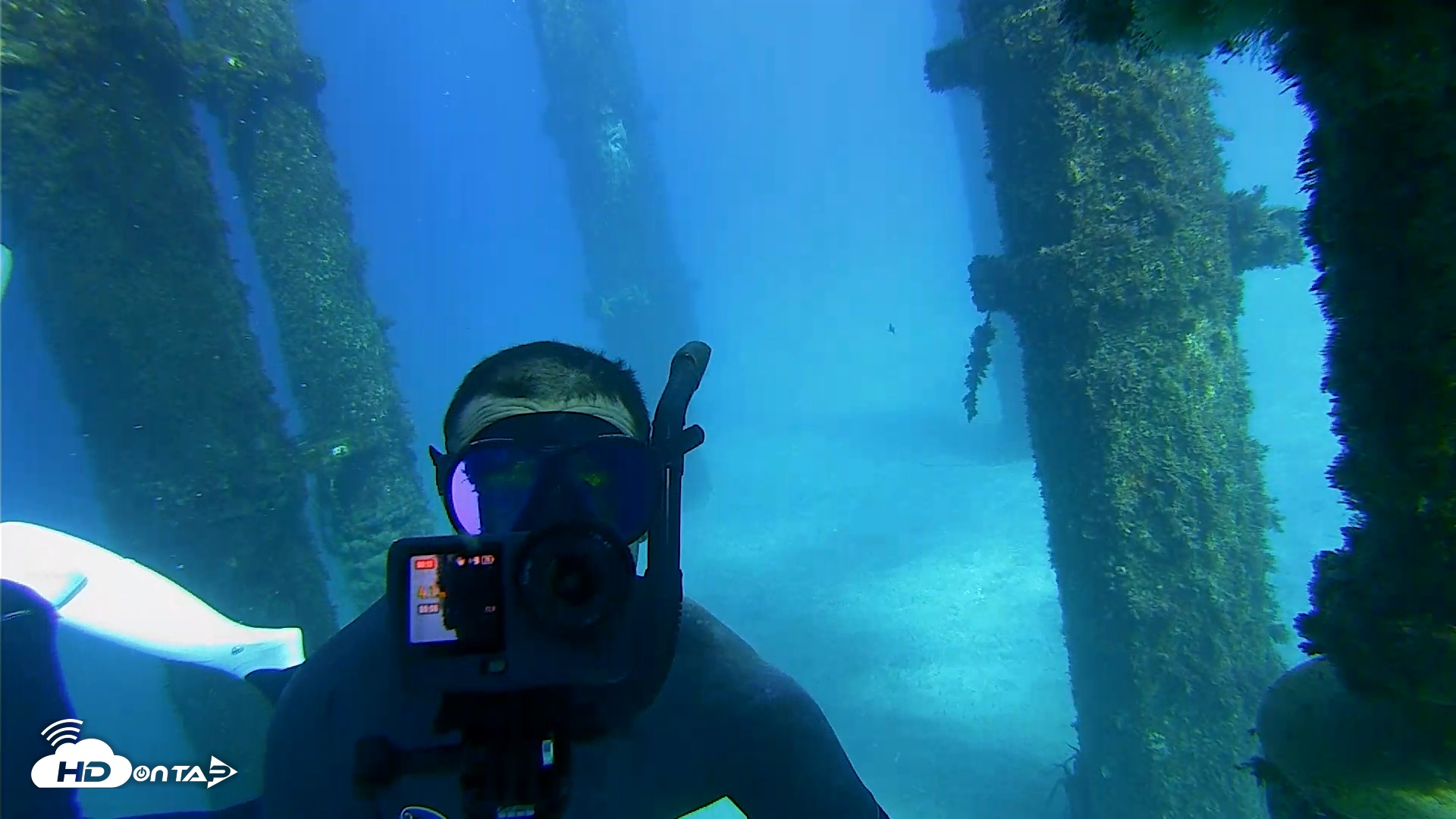 Snapshot of Scripps Pier Underwater Live Webcam taken Oct 18, 2026, 3:33pm PDT