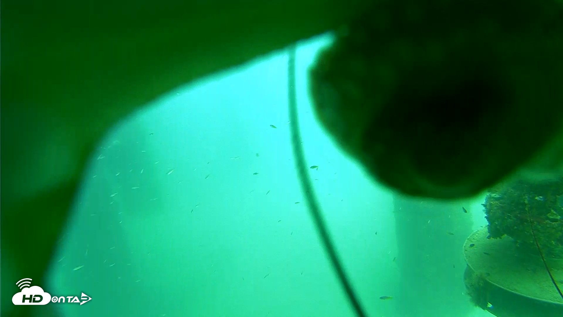 Snapshot of Scripps Pier Underwater Live Webcam taken Aug 14, 2026, 2:39pm PDT