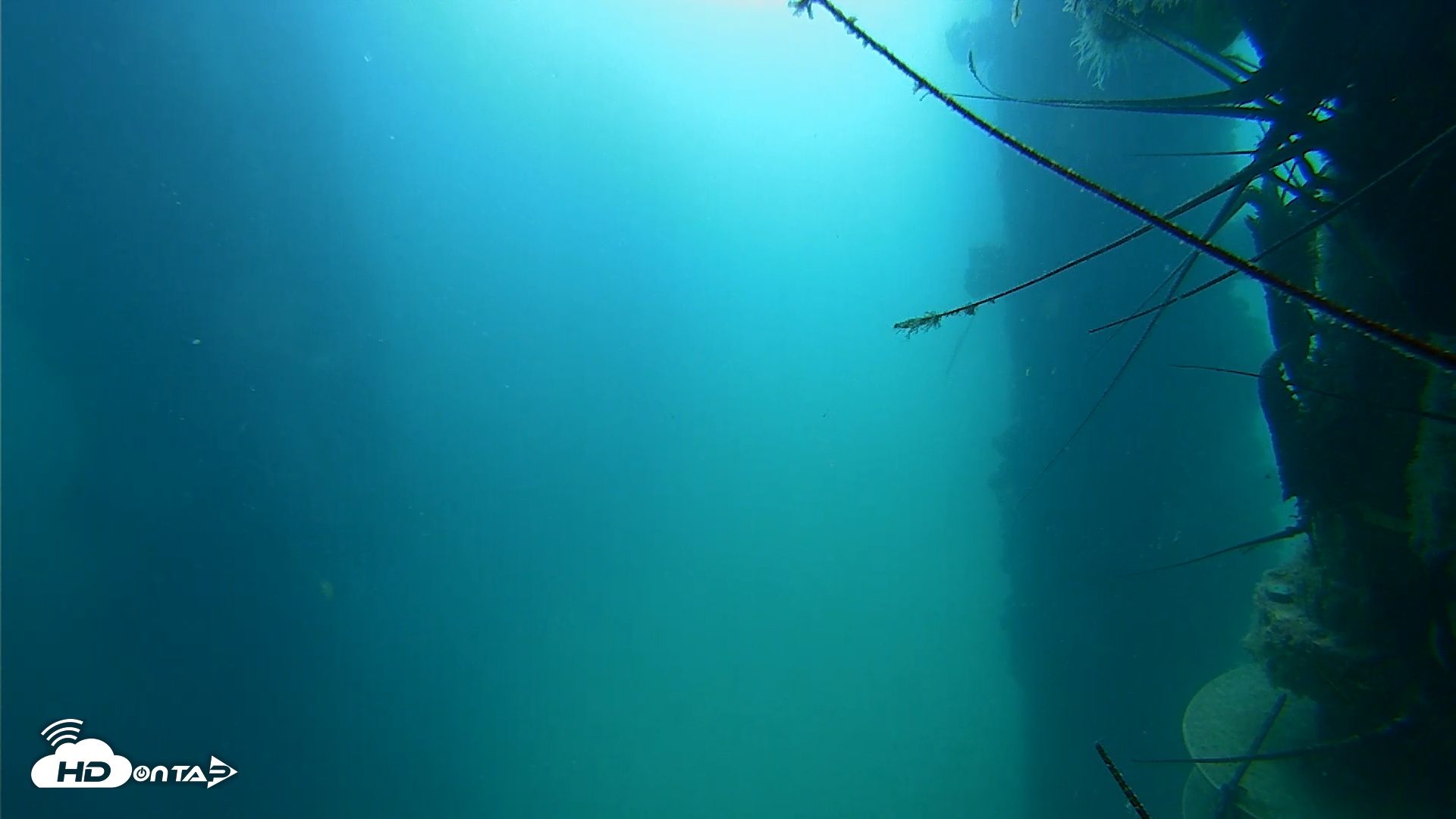 Snapshot of Scripps Pier Underwater Live Webcam taken Aug 20, 2025, 9:56am PDT