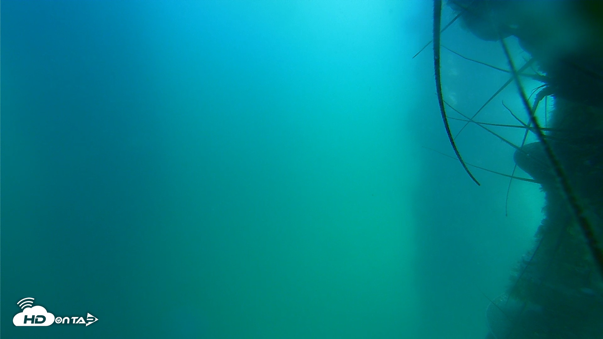 Snapshot of Scripps Pier Underwater Live Webcam taken Jul 21, 2025, 2:13pm PDT