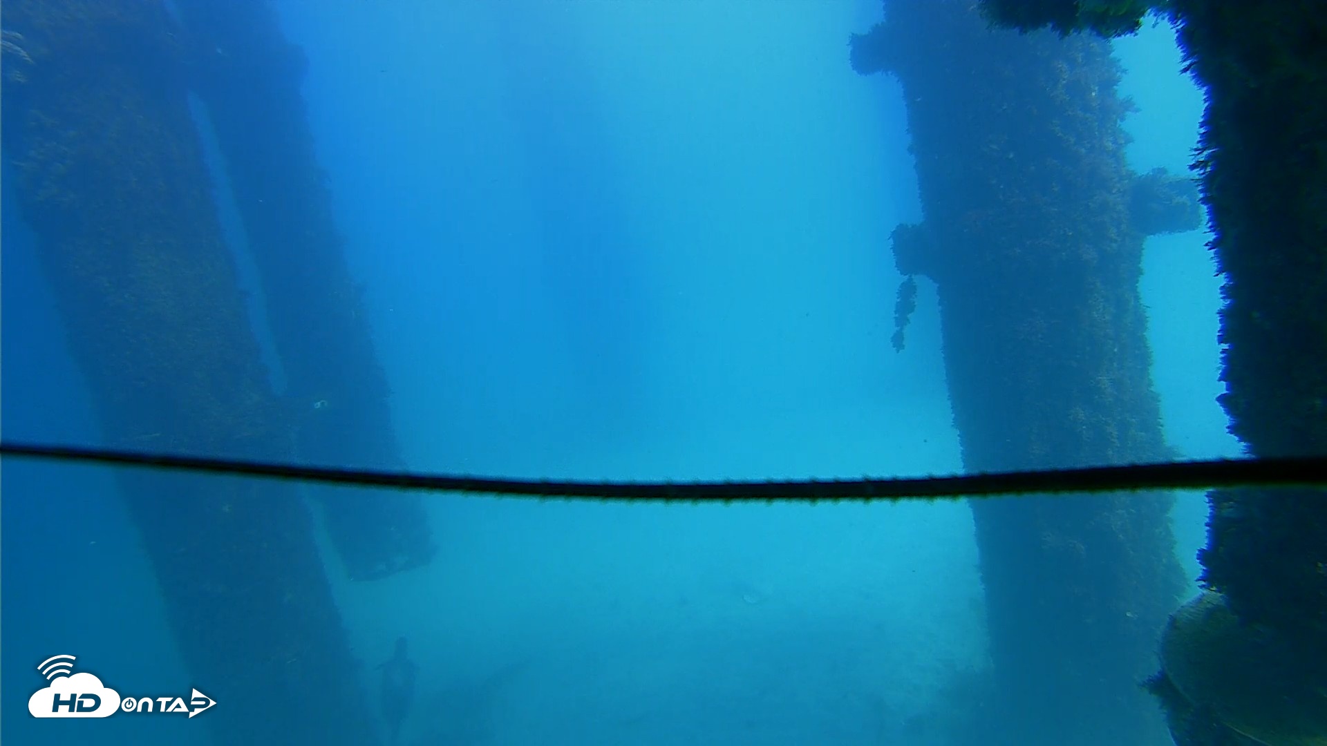 Snapshot of Scripps Pier Underwater Live Webcam taken Oct 6, 2026, 1:52pm PDT