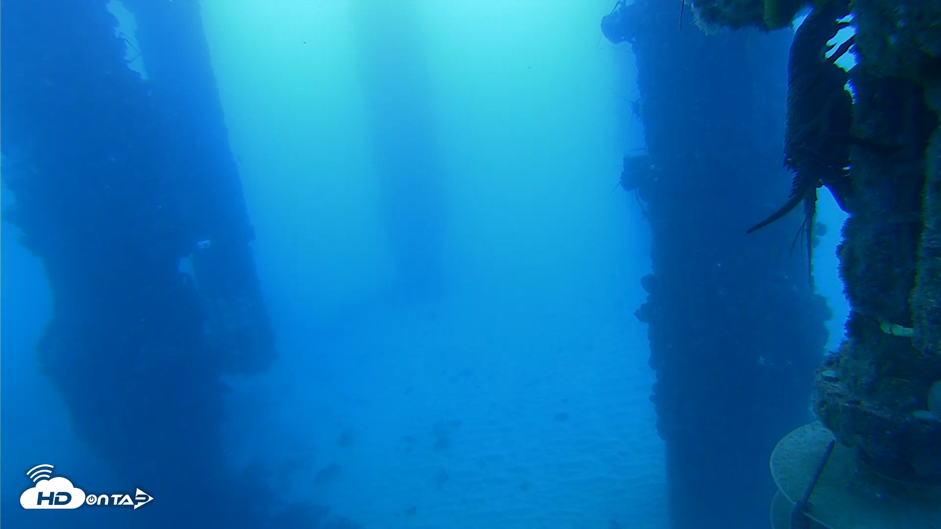 Snapshot of Scripps Pier Underwater Live Webcam taken Sep 8, 2025, 7:07am PDT