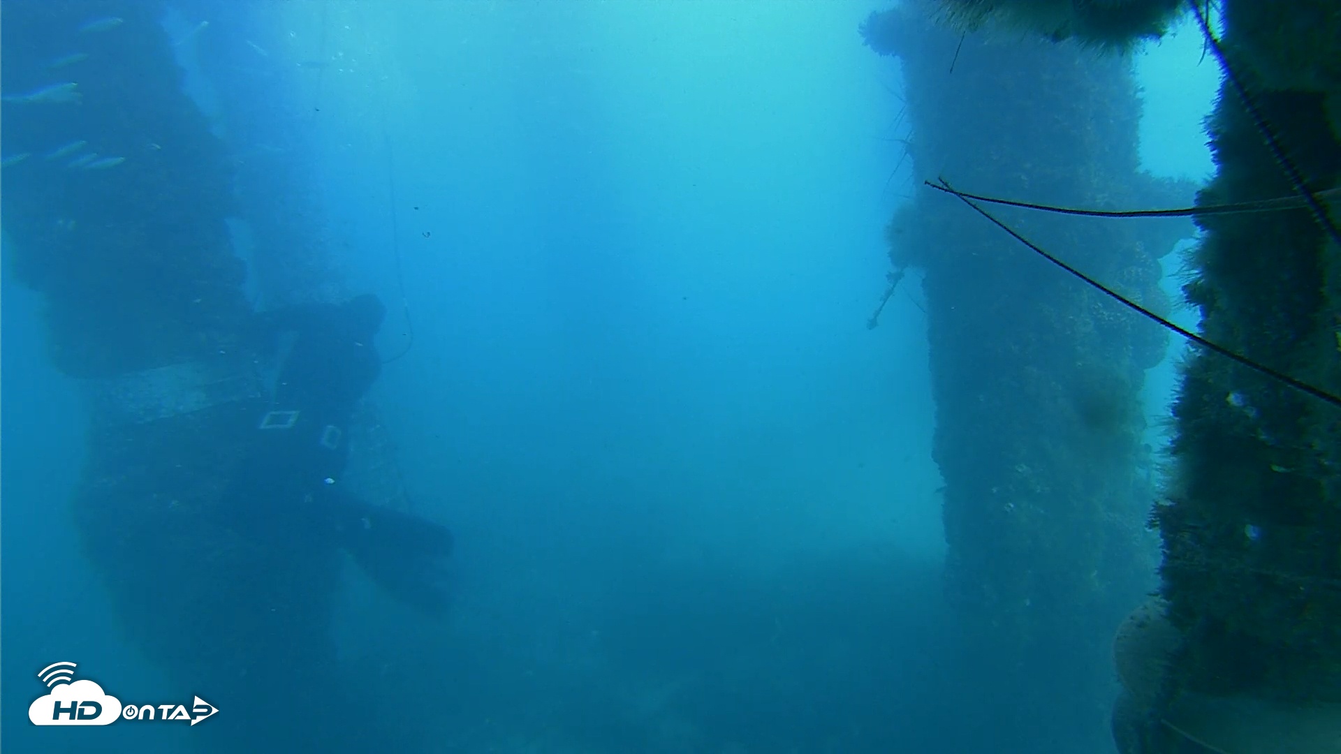 Snapshot of Scripps Pier Underwater Live Webcam taken Dec 13, 2025, 2:14pm PST