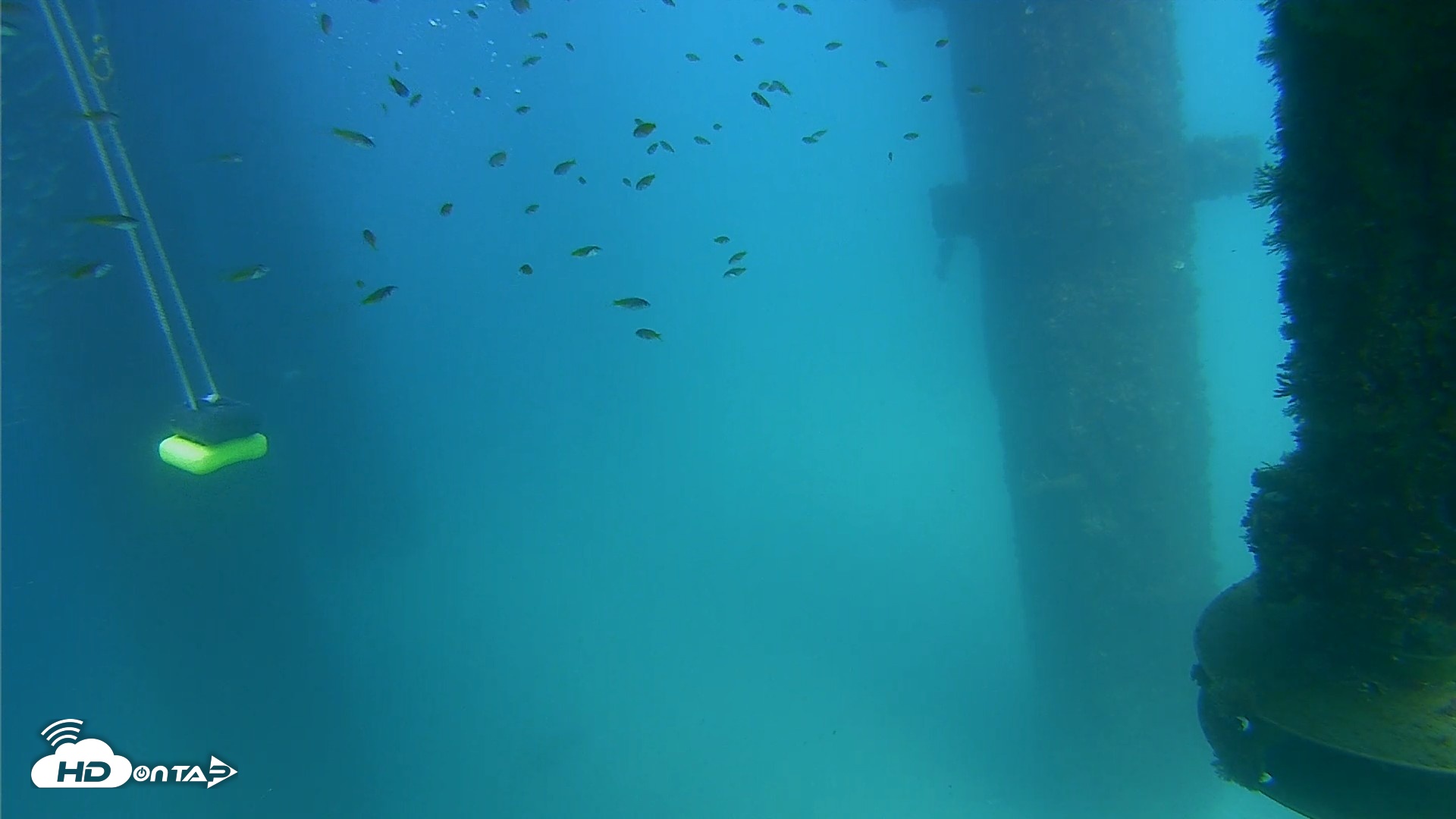Snapshot of Scripps Pier Underwater Live Webcam taken Aug 28, 2026, 3:09pm PDT