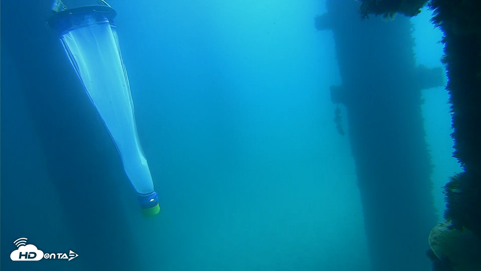 Snapshot of Scripps Pier Underwater Live Webcam taken Sep 17, 2026, 12:12pm PDT