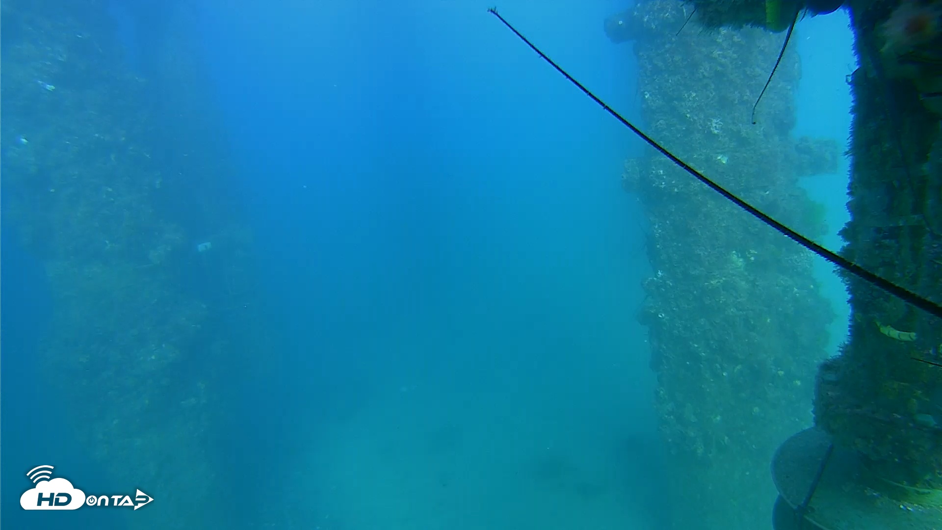 Snapshot of Scripps Pier Underwater Live Webcam taken Aug 29, 2025, 5:30pm PDT