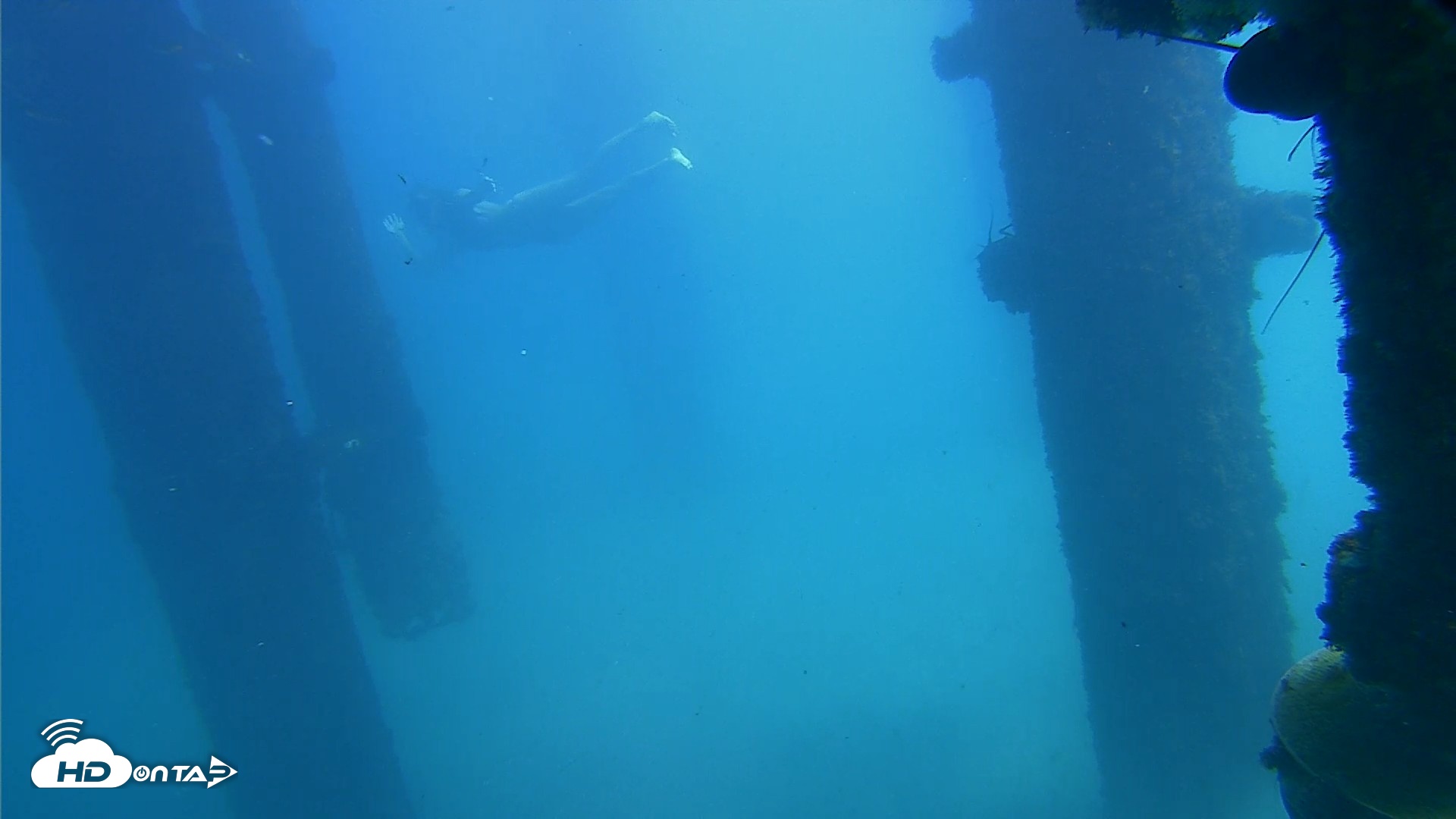 Snapshot of Scripps Pier Underwater Live Webcam taken Oct 8, 2026, 1:17pm PDT