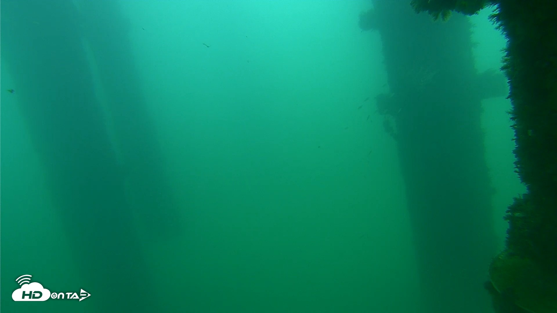 Snapshot of Scripps Pier Underwater Live Webcam taken Sep 24, 2026, 8:20am PDT