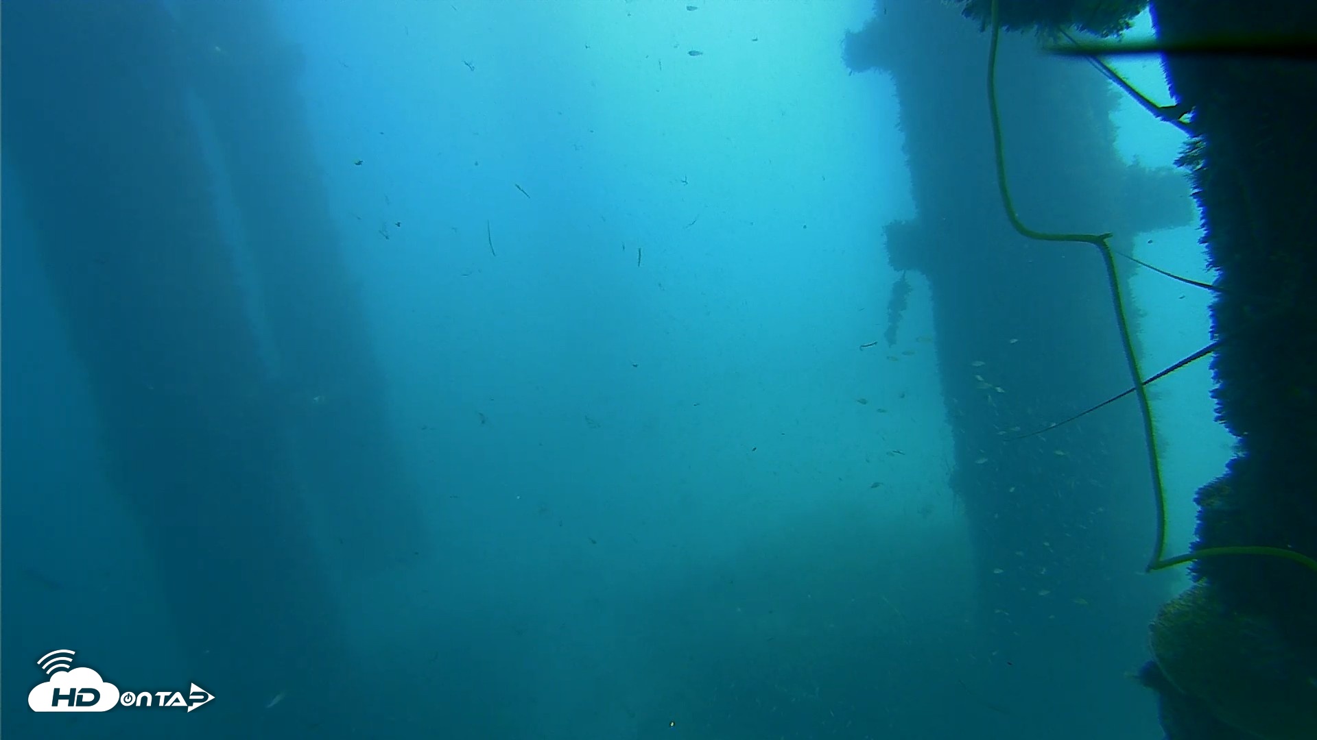 Snapshot of Scripps Pier Underwater Live Webcam taken Oct 1, 2026, 12:24pm PDT