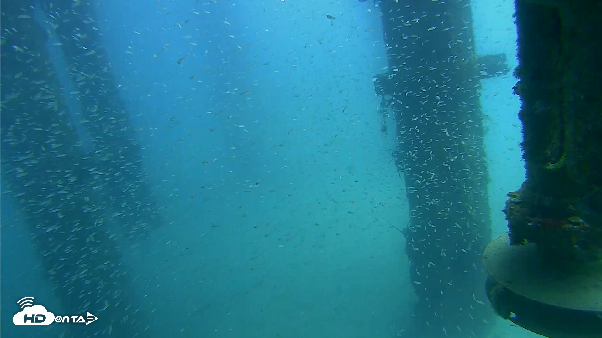 Snapshot of Scripps Pier Underwater Live Webcam taken Aug 5, 2026, 1:17pm PDT