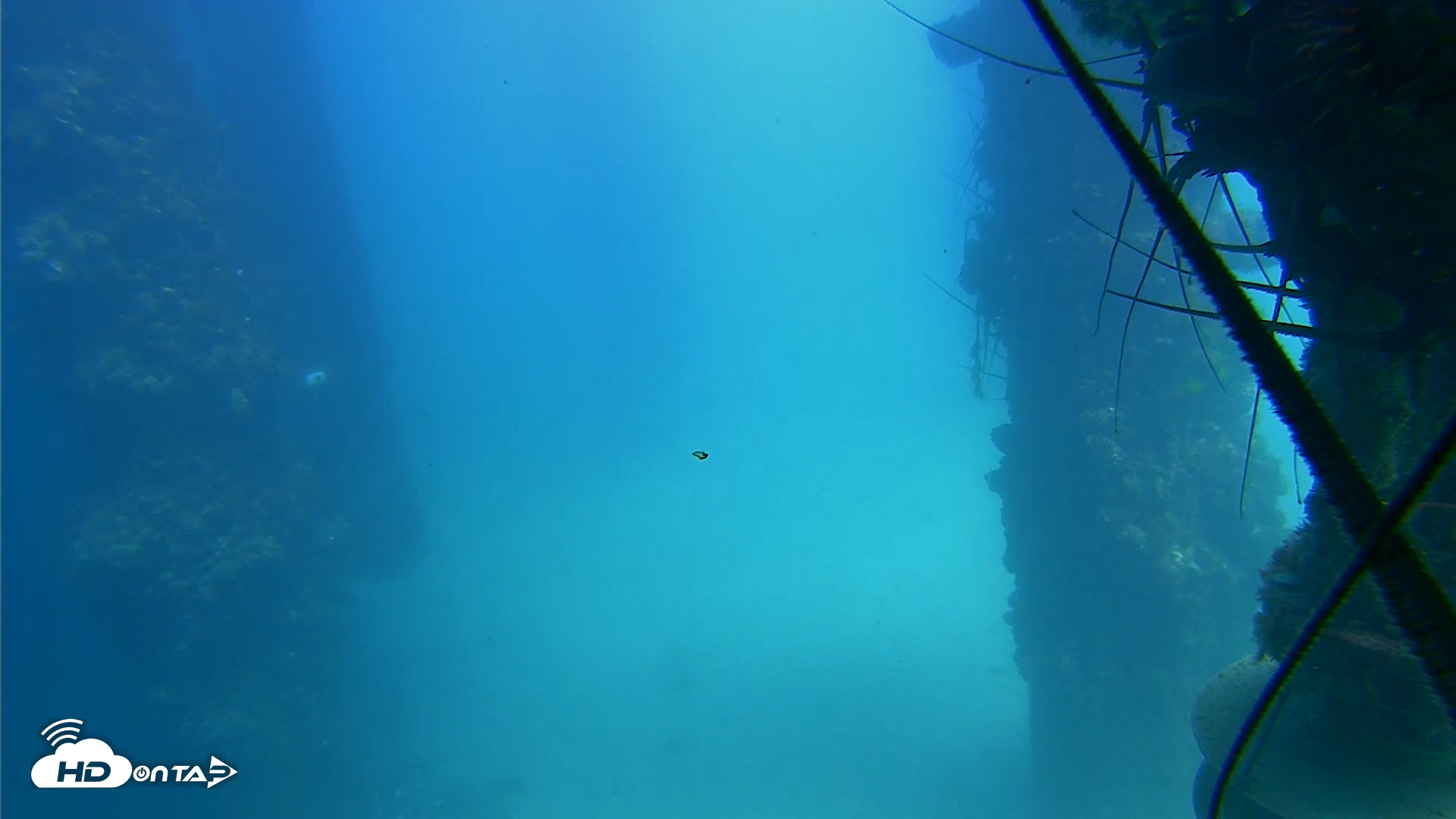 Snapshot of Scripps Pier Underwater Live Webcam taken Sep 10, 2025, 1:51pm PDT