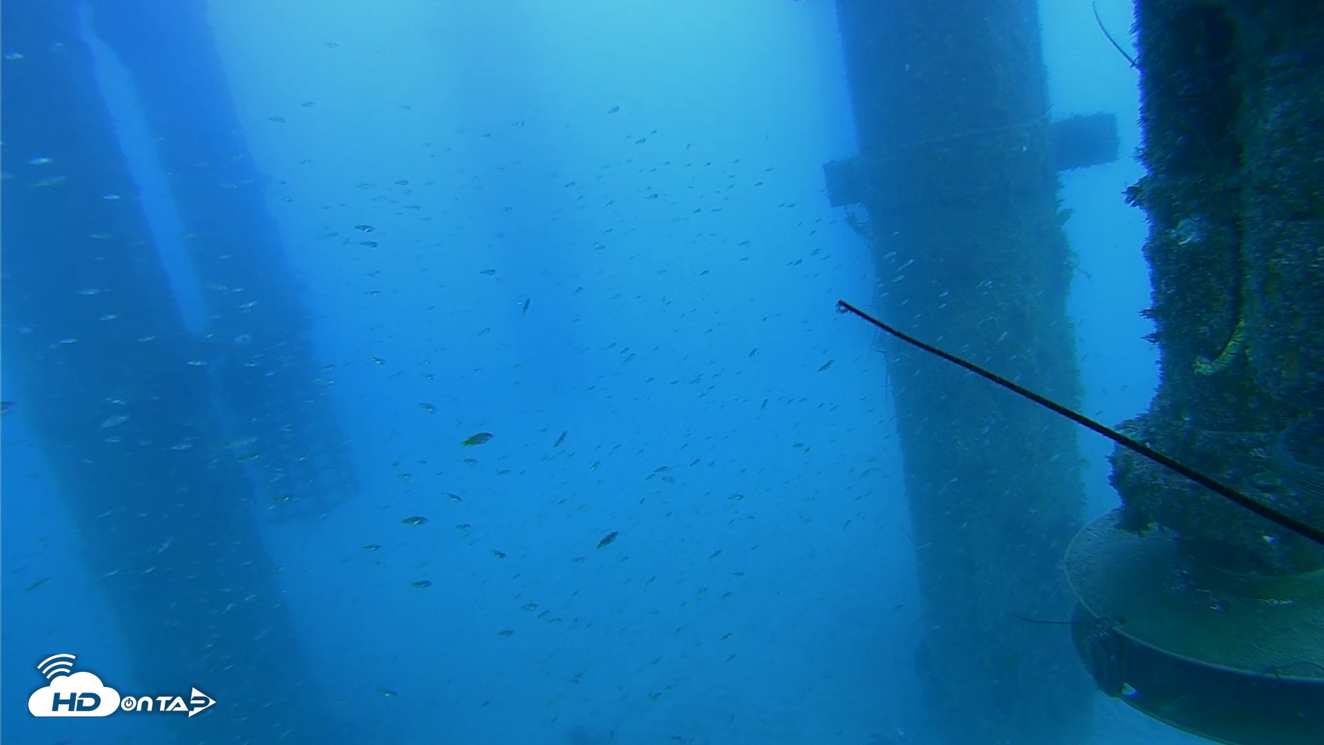 Snapshot of Scripps Pier Underwater Live Webcam taken Jul 30, 2026, 6:52pm PDT