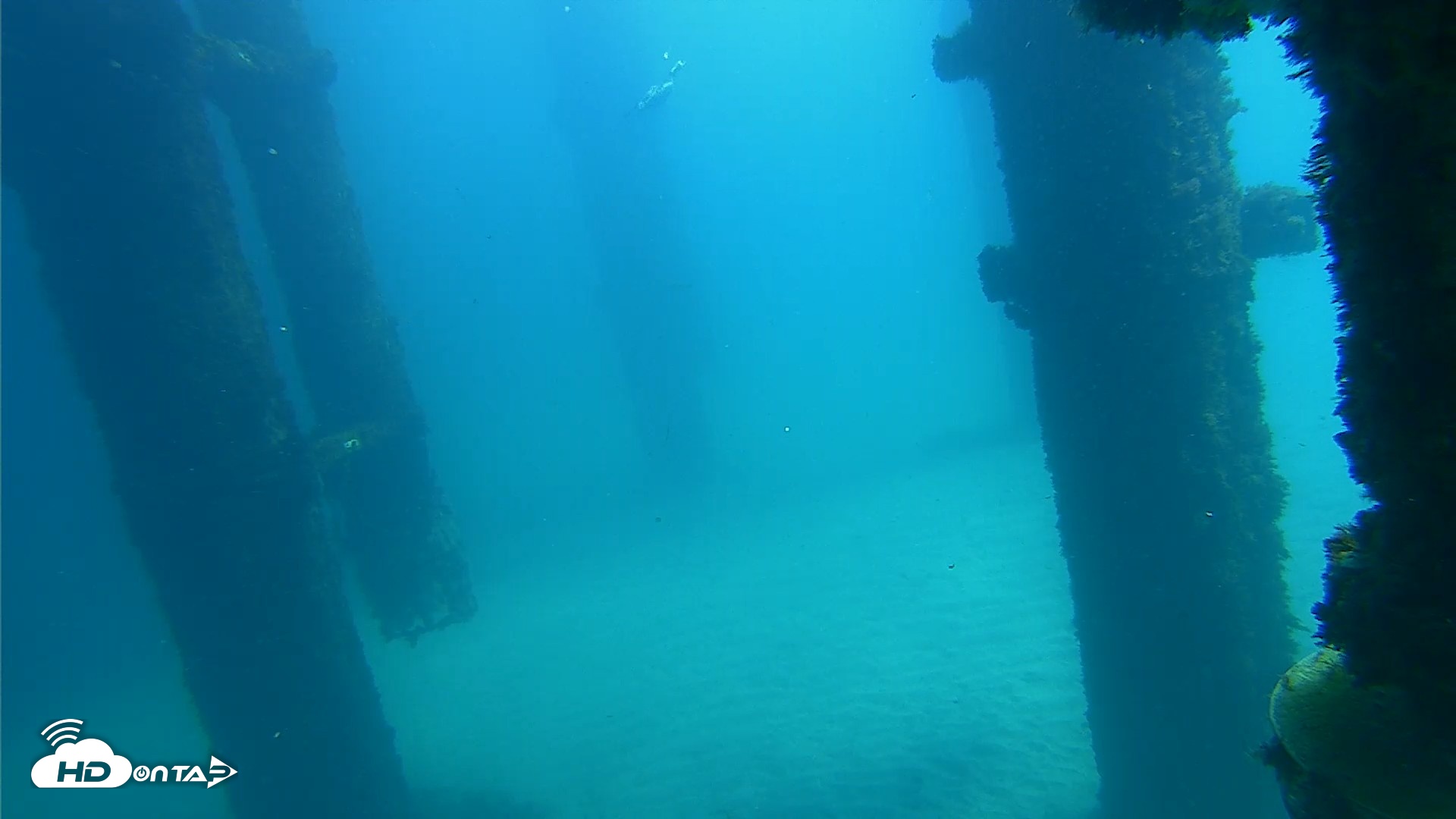 Snapshot of Scripps Pier Underwater Live Webcam taken Oct 6, 2026, 12:39pm PDT