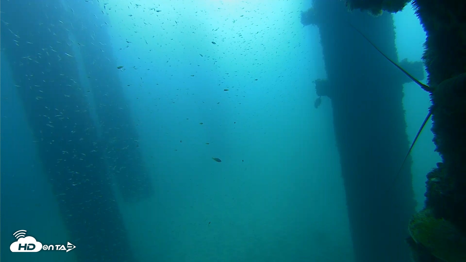 Snapshot of Scripps Pier Underwater Live Webcam taken Sep 25, 2026, 9:30am PDT