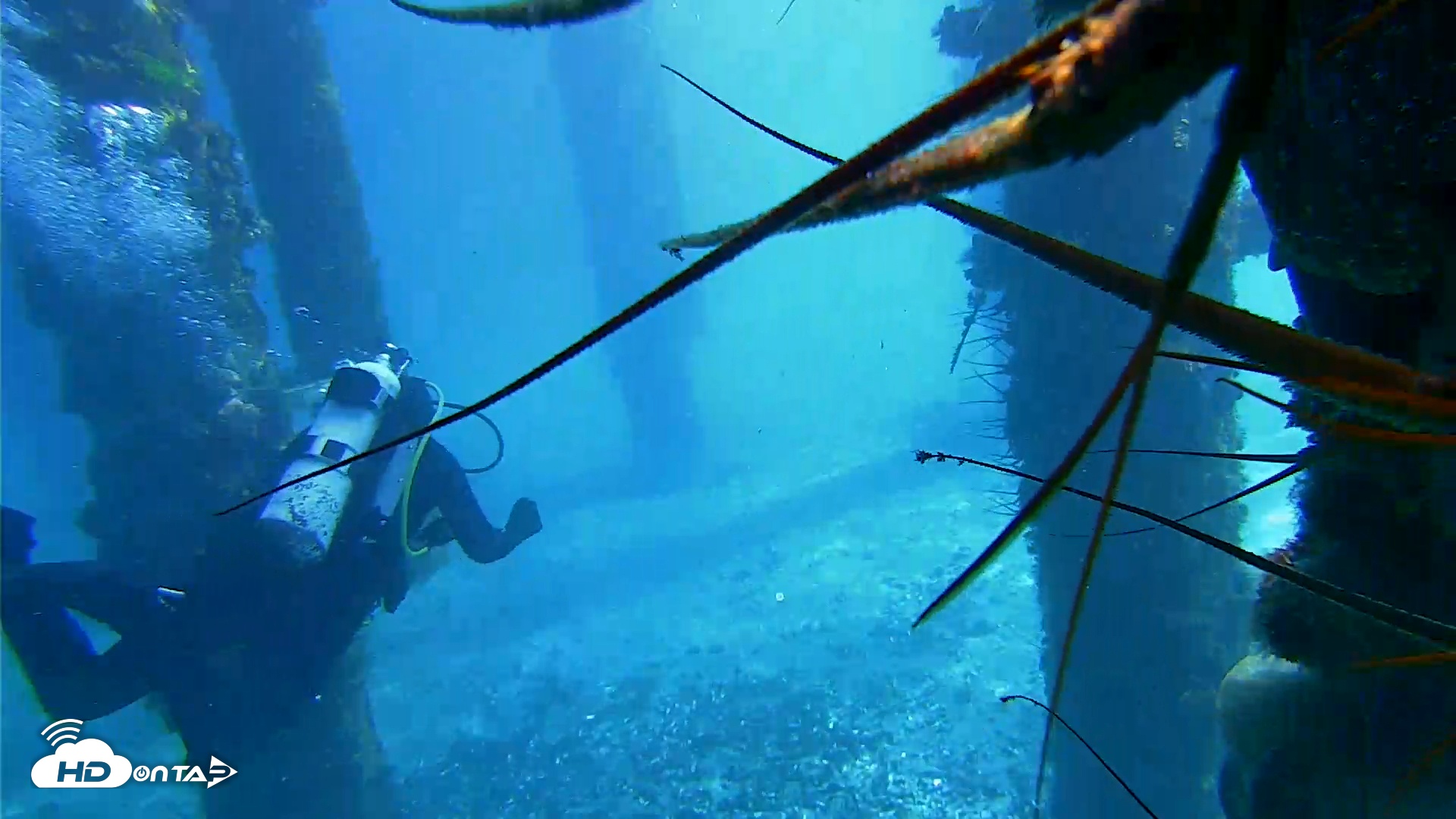 Snapshot of Scripps Pier Underwater Live Webcam taken Jan 29, 2026, 11:02am PST