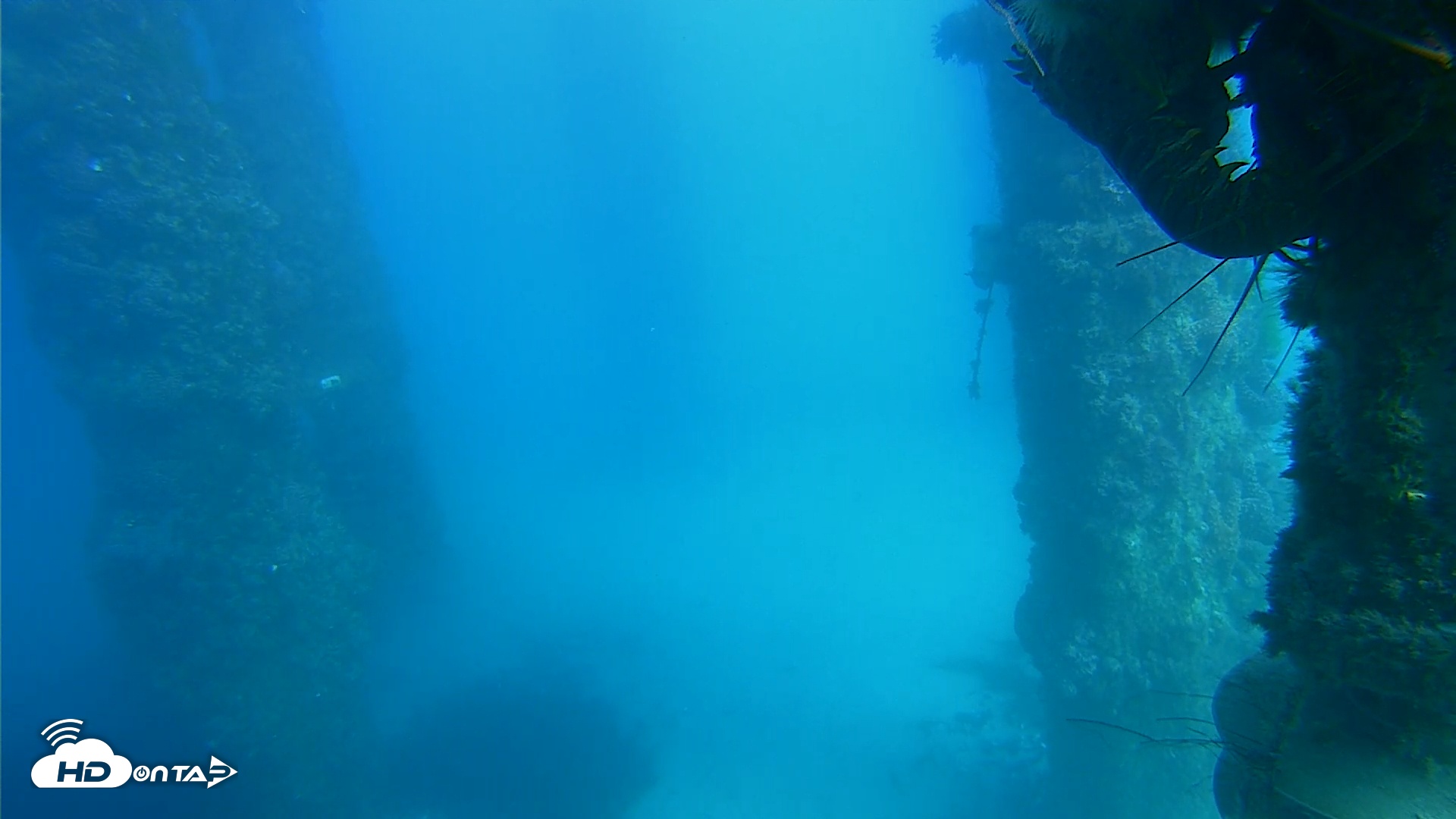 Snapshot of Scripps Pier Underwater Live Webcam taken Nov 13, 2025, 2:18pm PST
