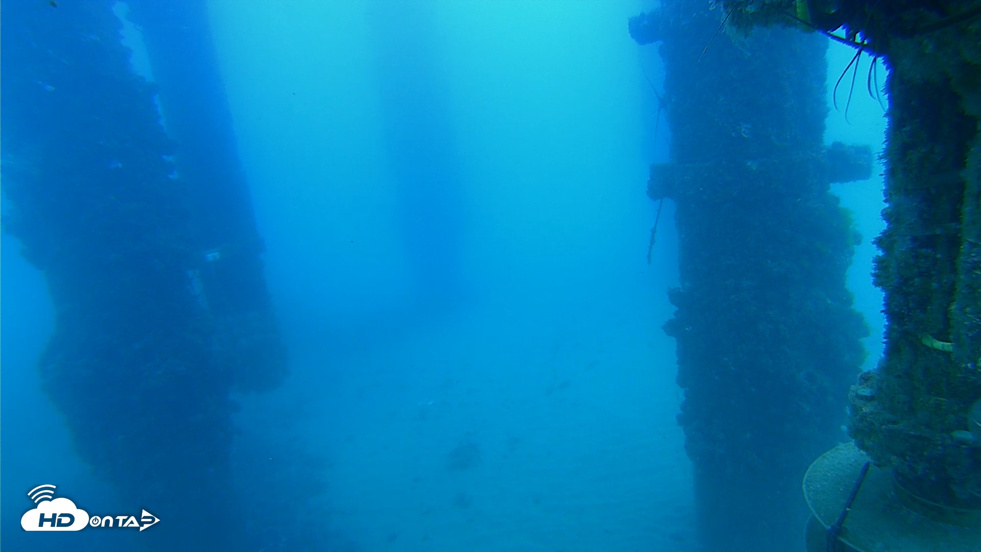 Snapshot of Scripps Pier Underwater Live Webcam taken Aug 28, 2025, 9:23am PDT