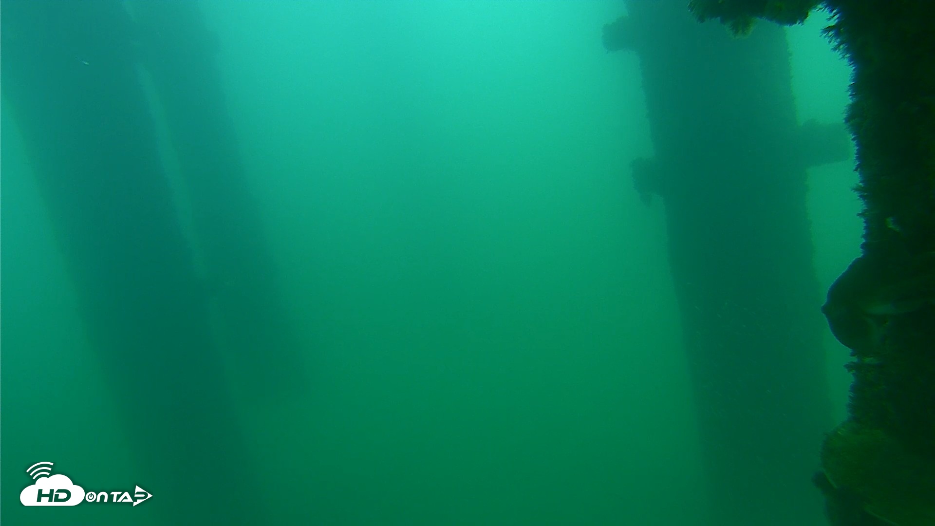 Snapshot of Scripps Pier Underwater Live Webcam taken Sep 24, 2026, 8:15am PDT